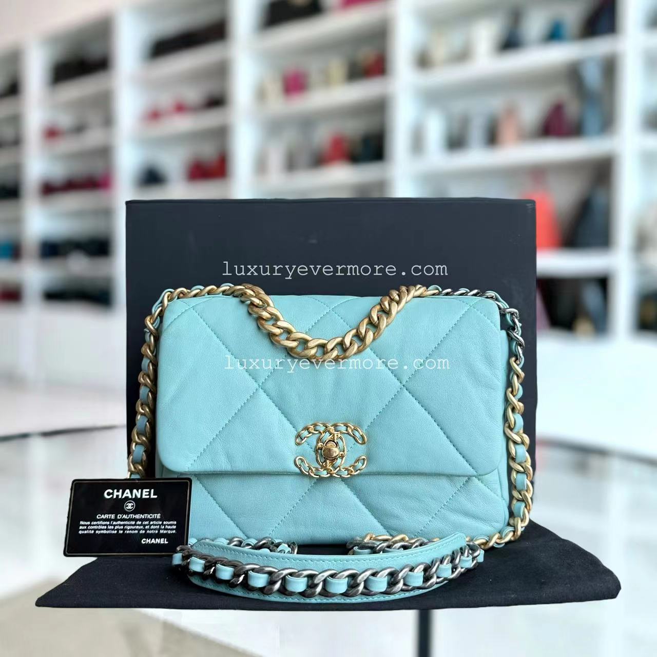 Chanel Small Handbag - EworeBags