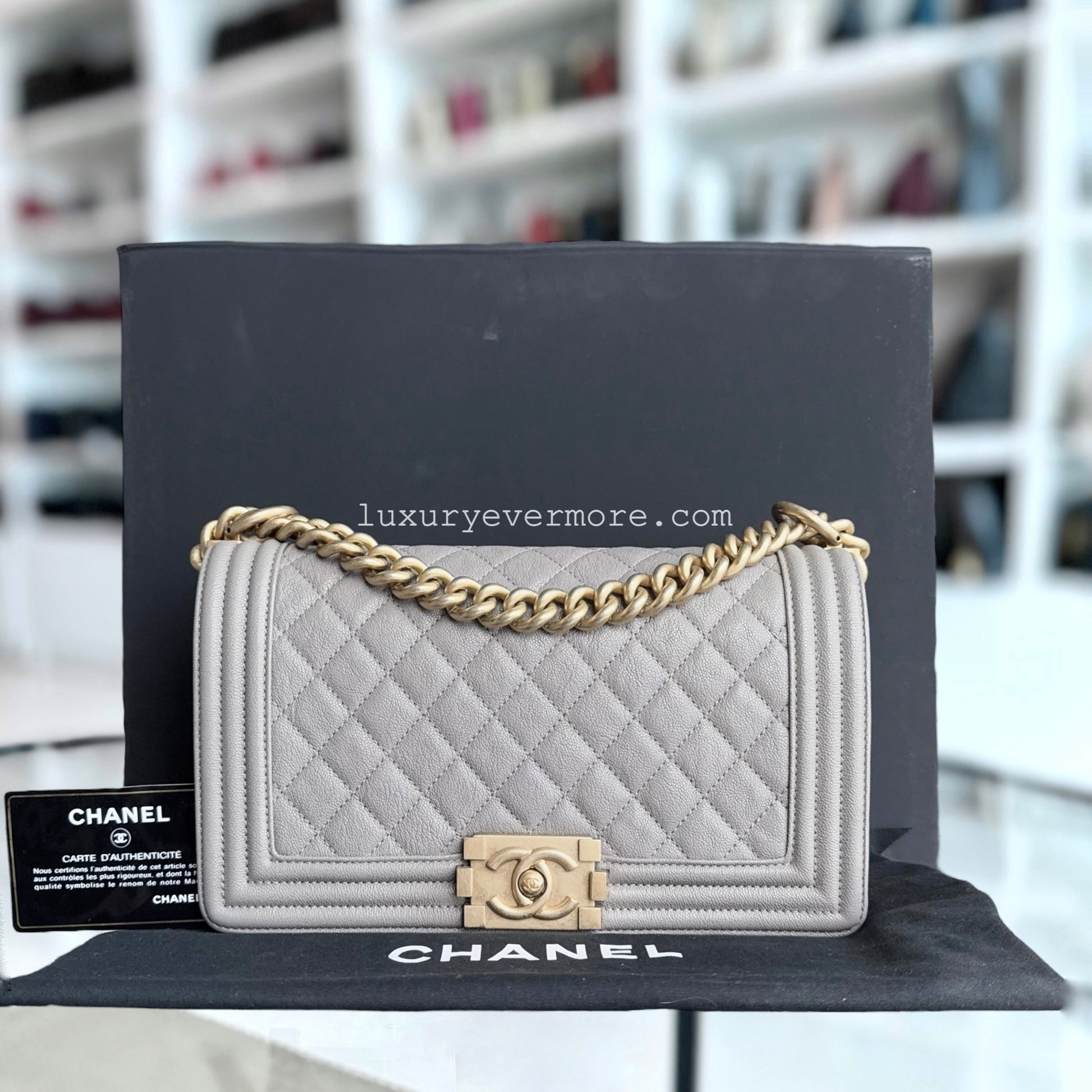 Chanel Medium Handbag - EworeBags