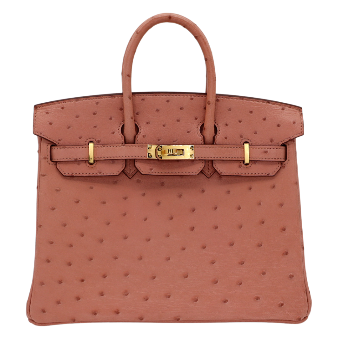 Hermes25cm Birkin Terre Cuite Ostrich Gold Hardware