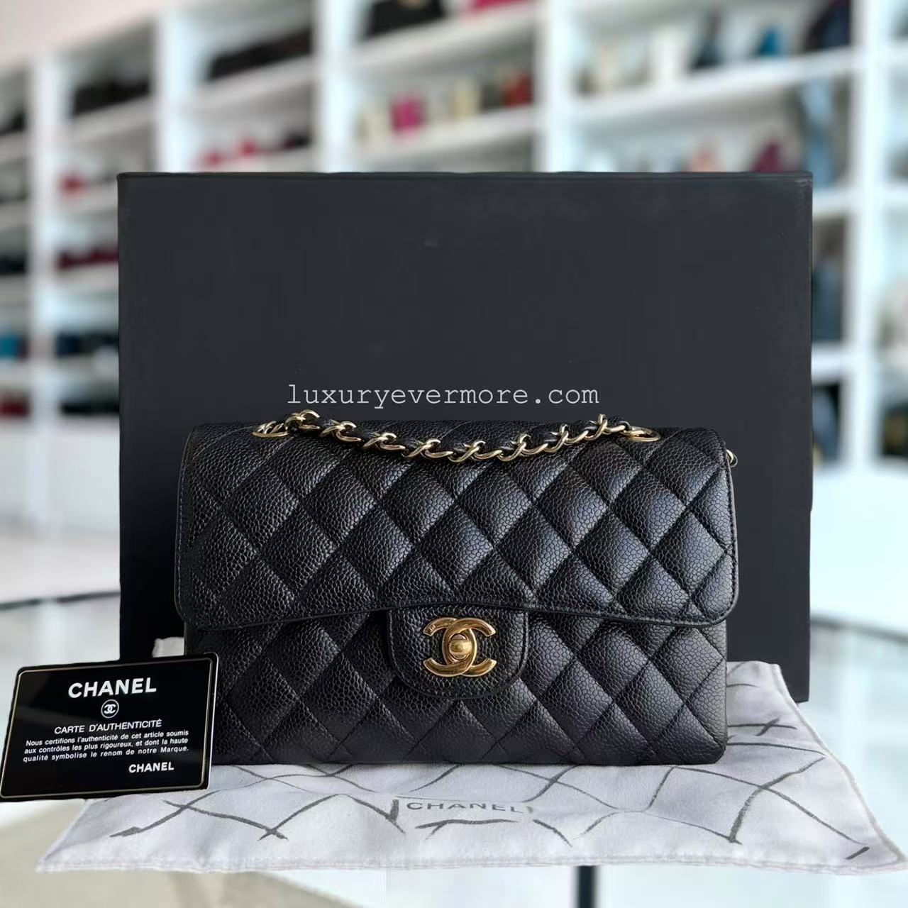 Chanel Classic Flap Small Shoulder Bag - EworeBags