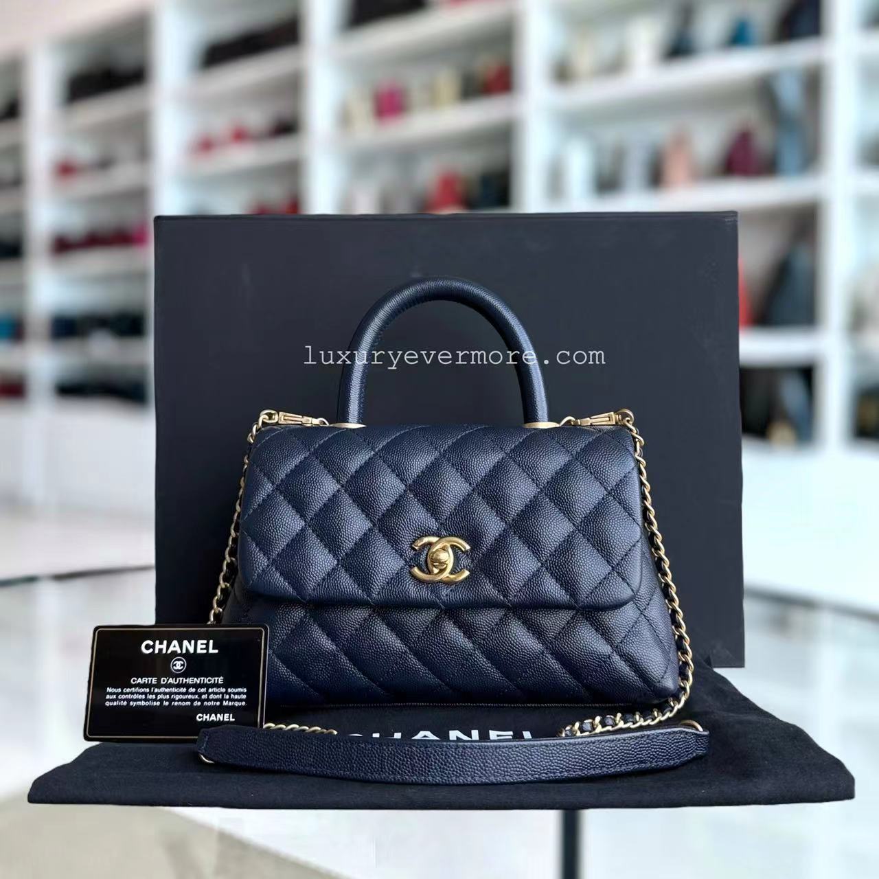 Chanel Small Handbag - EworeBags