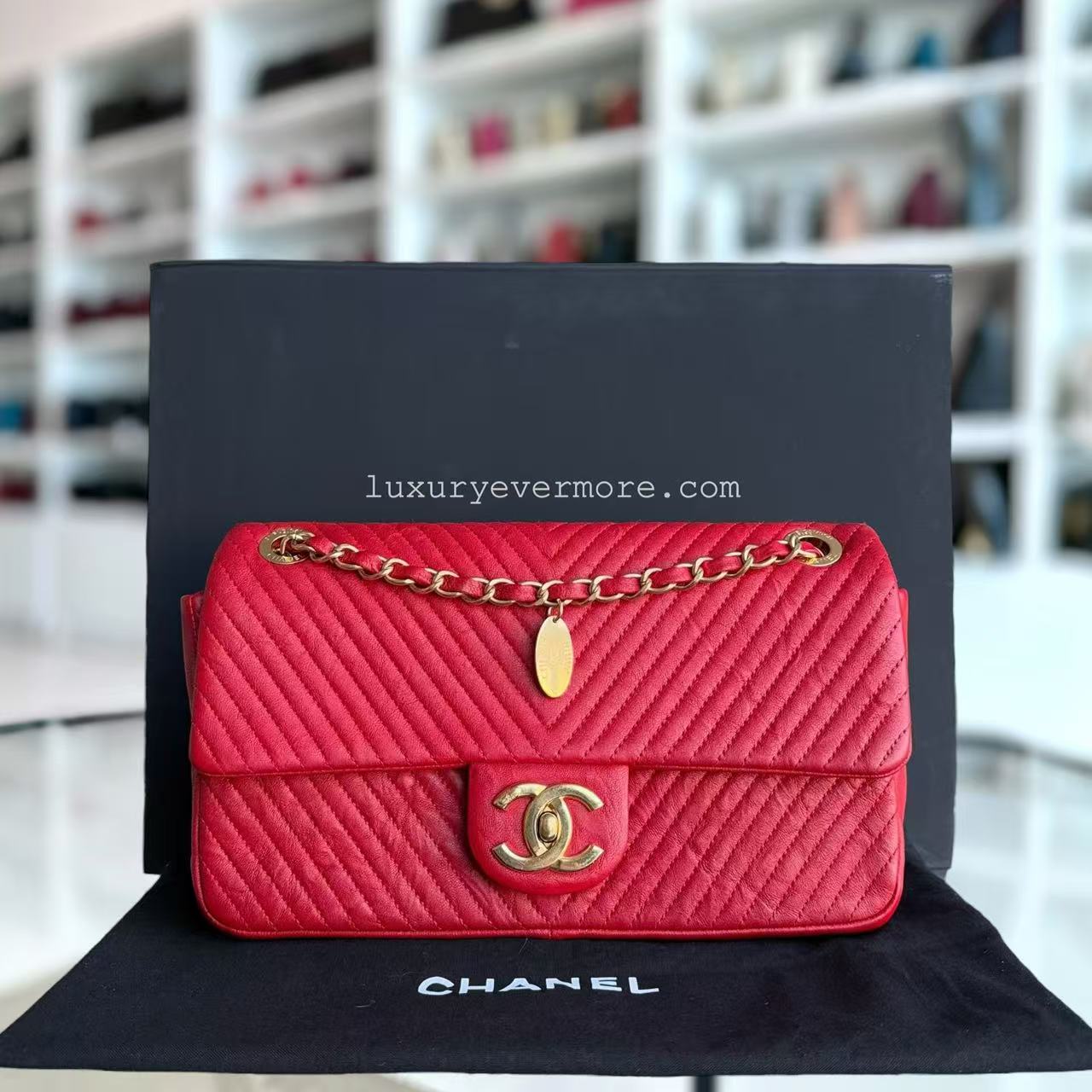 Chanel Shoulder Bag - EworeBags