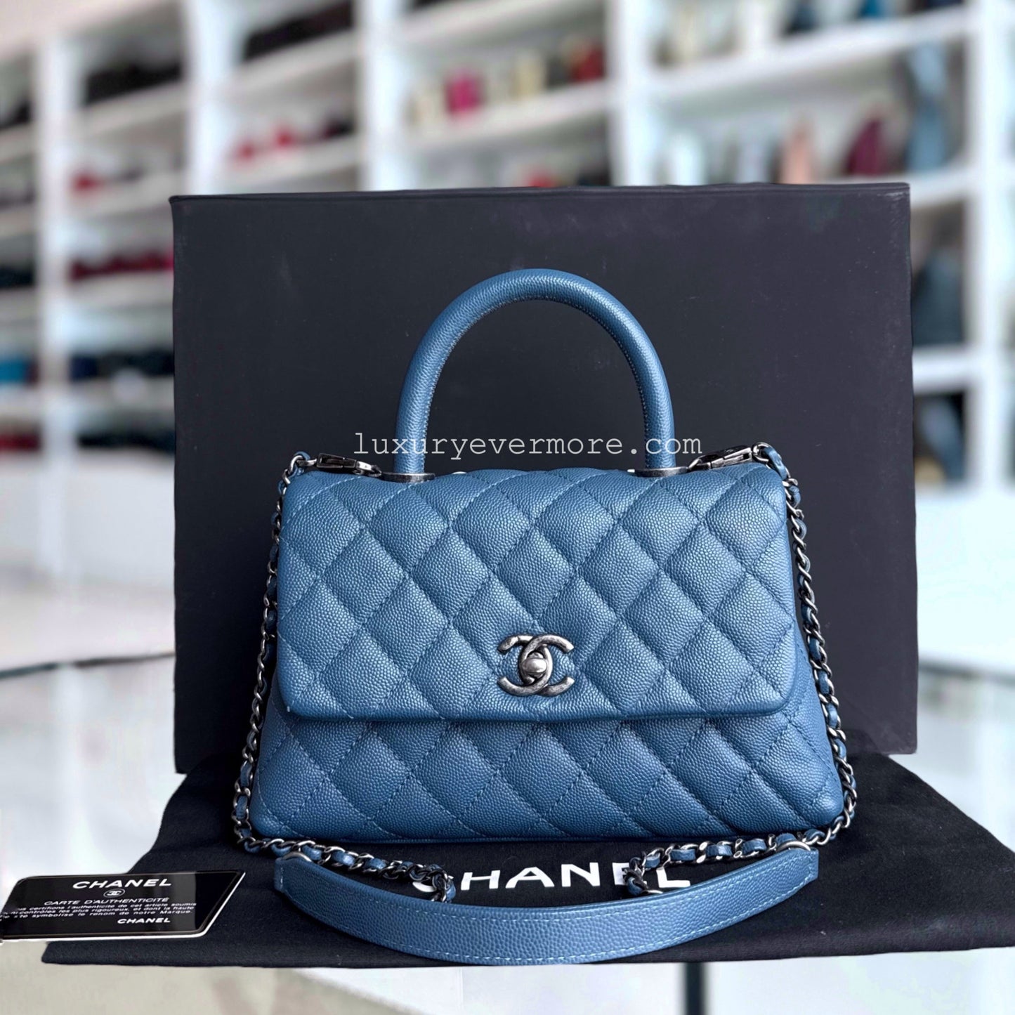 Chanel Small Handbag - EworeBags