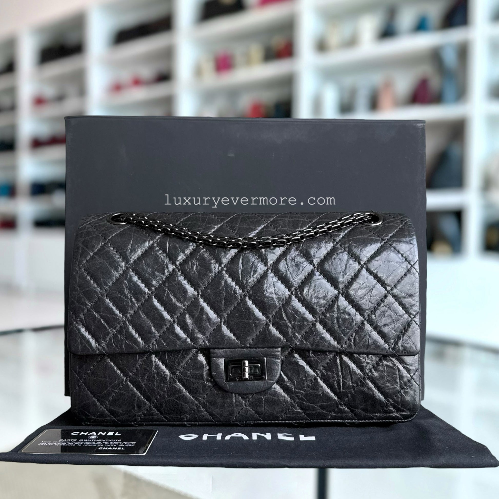 Chanel Handbag - EworeBags