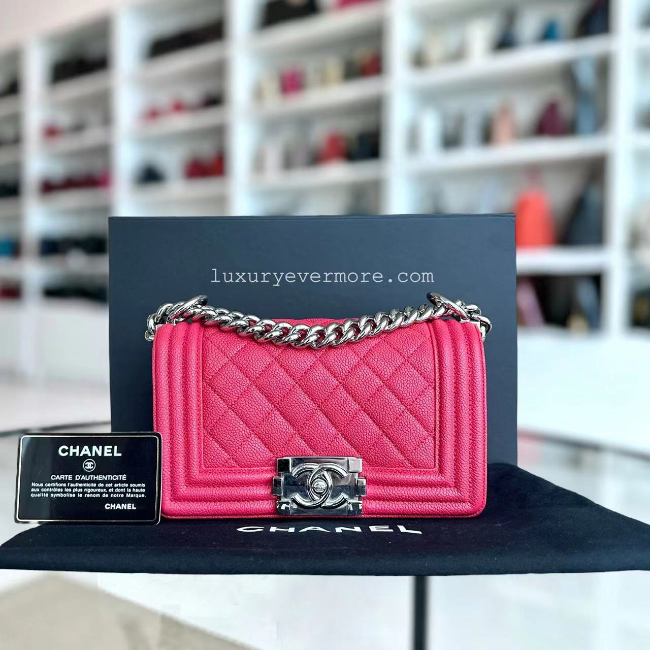 Chanel Small Handbag - EworeBags