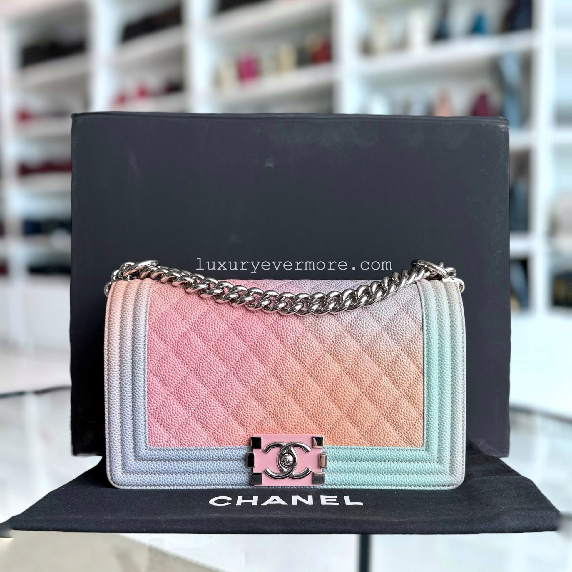 Chanel Medium Handbag - EworeBags