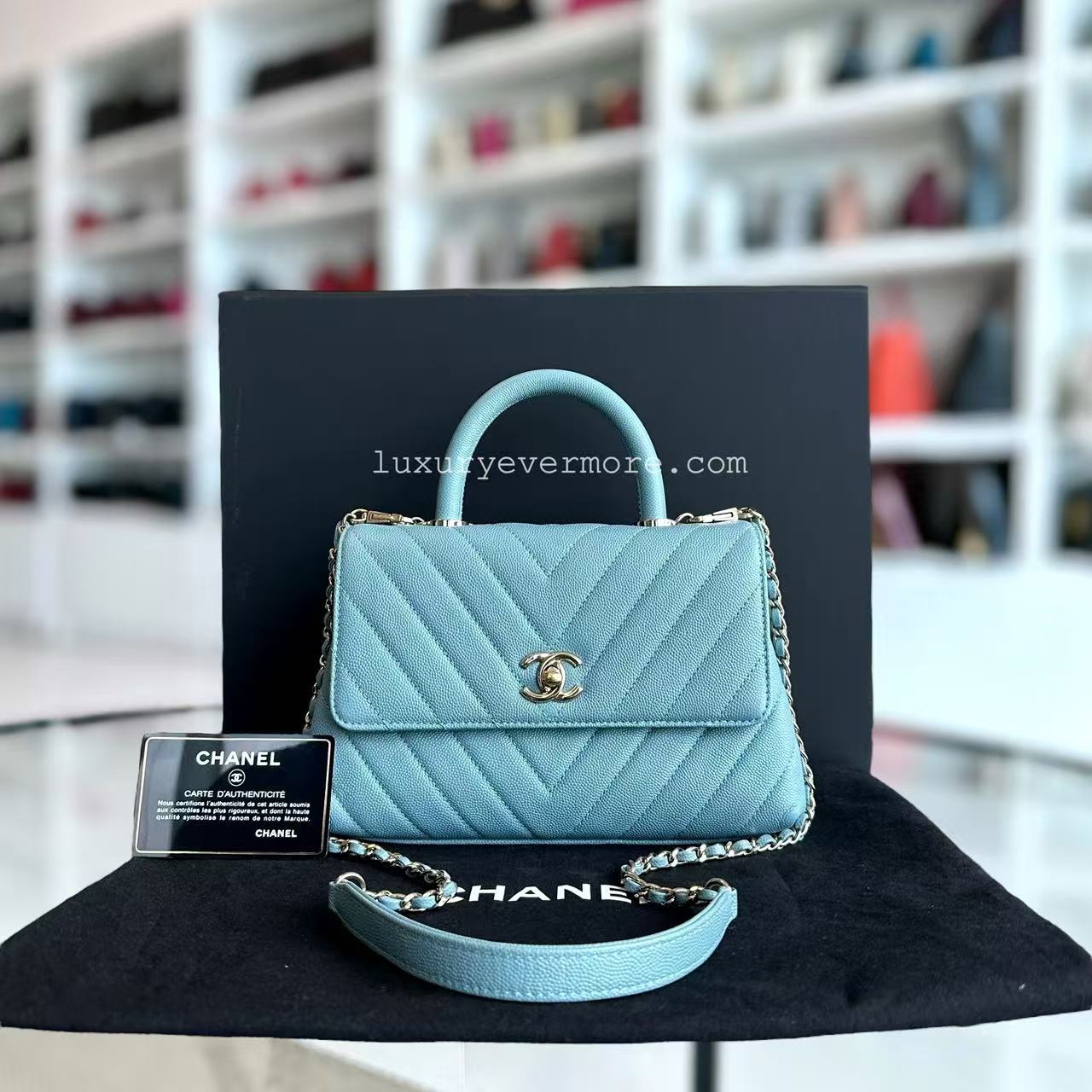 Chanel Small Handbag - EworeBags