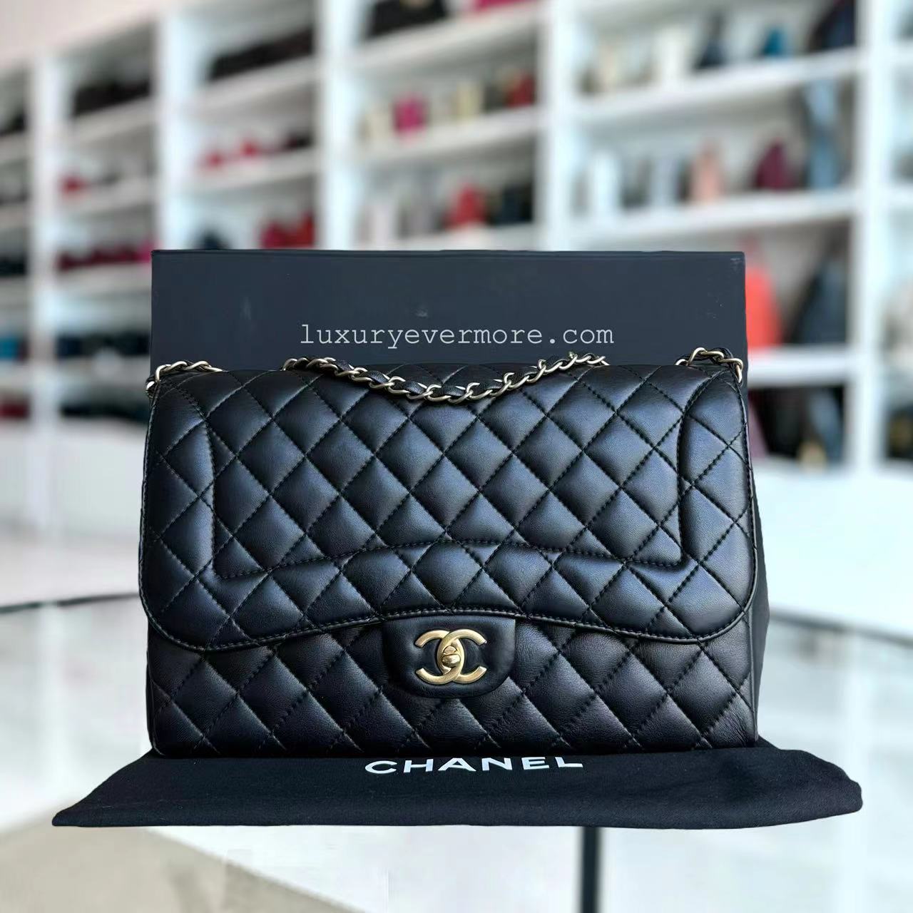 Chanel Shoulder Bag - EworeBags