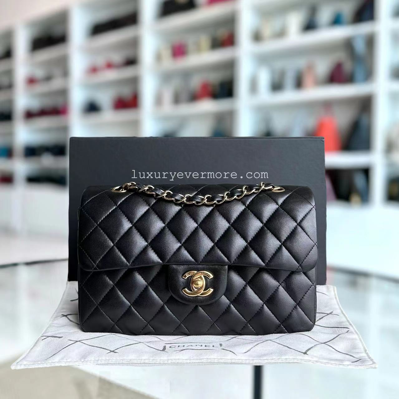 Chanel Classic Flap Small Shoulder Bag - EworeBags