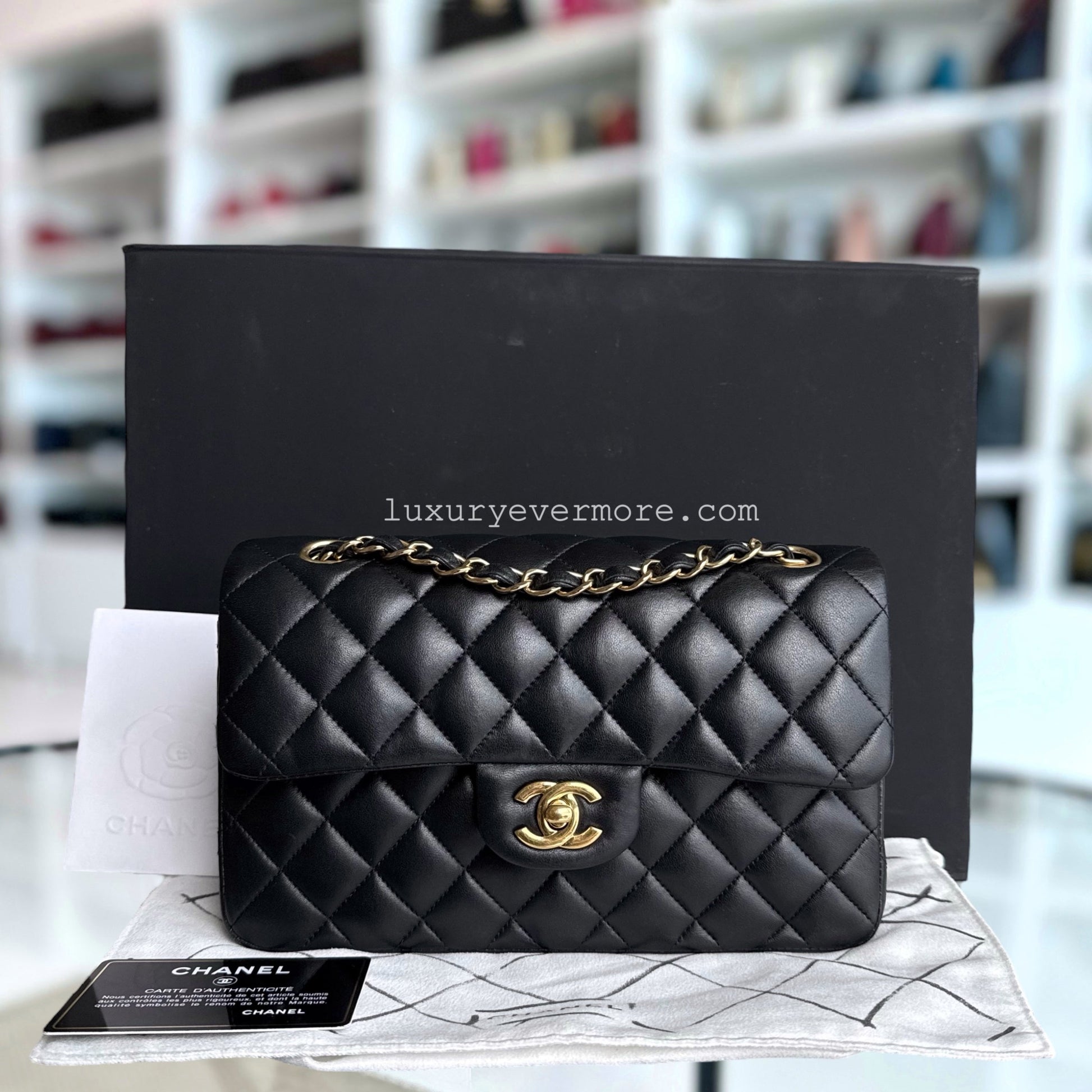 Chanel Classic Flap Small Shoulder Bag - EworeBags