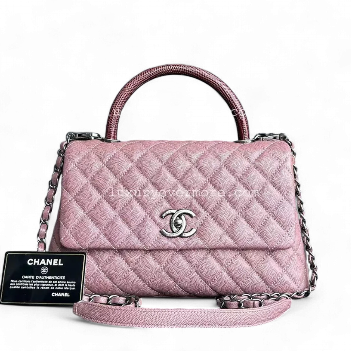 Chanel Medium Handbag - EworeBags