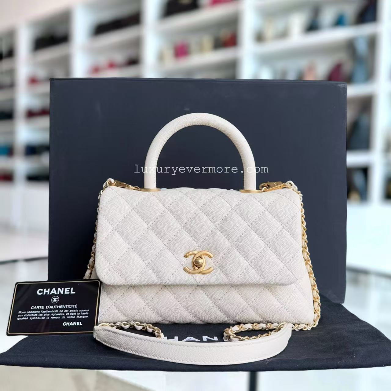 Chanel Small Handbag - EworeBags