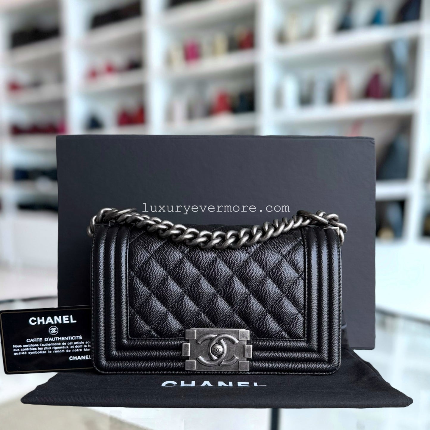 Chanel Small Handbag - EworeBags