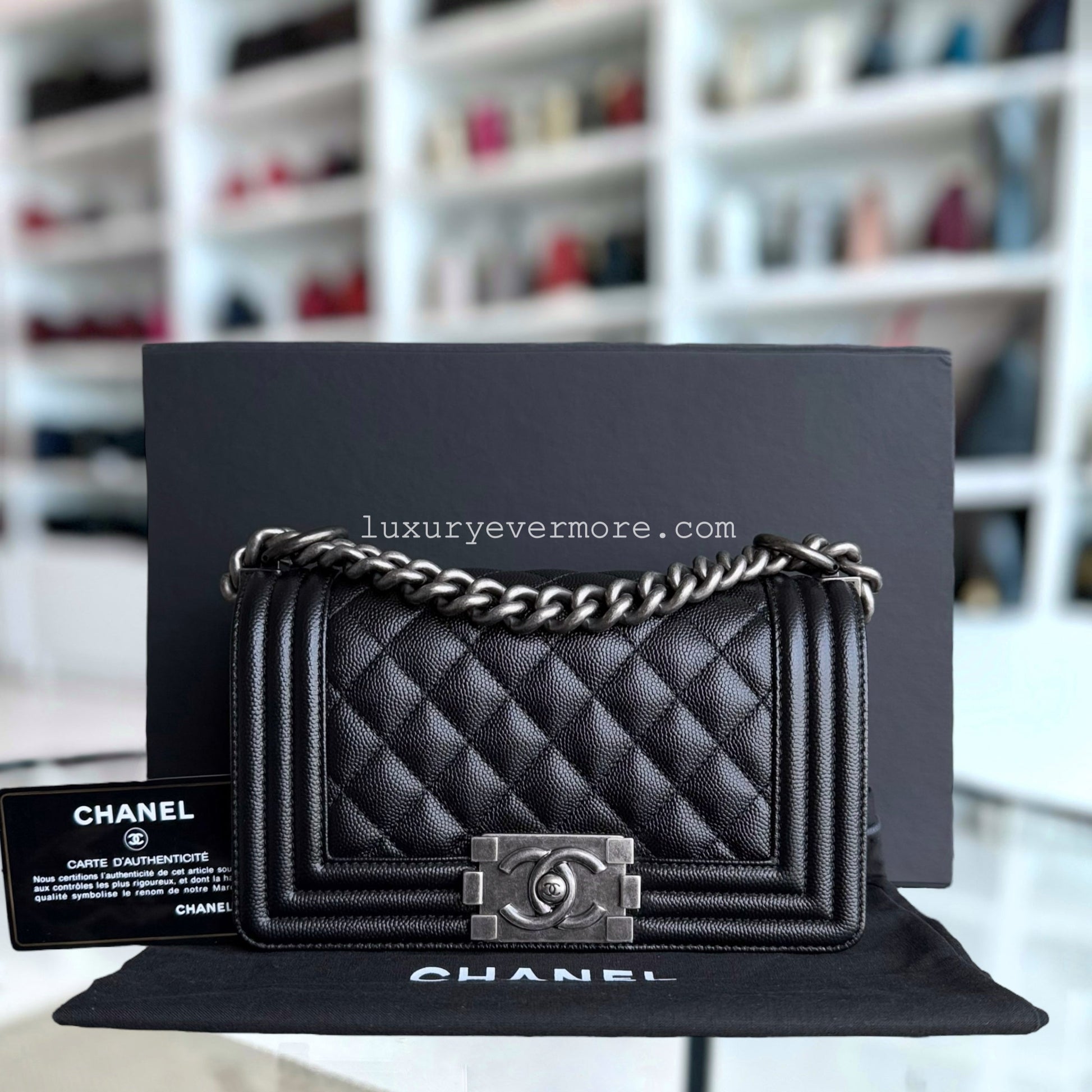 Chanel Small Handbag - EworeBags