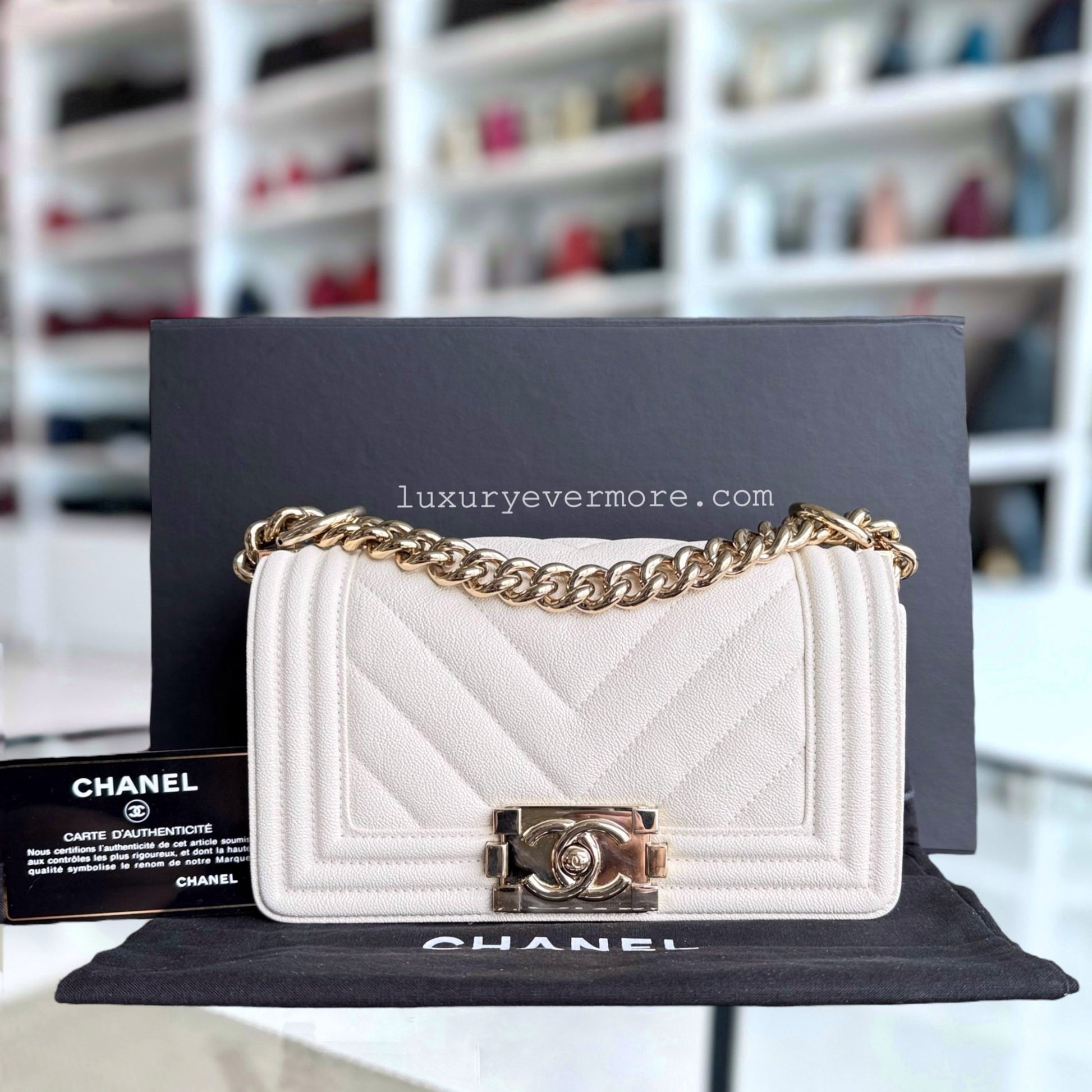 Chanel Small Handbag - EworeBags
