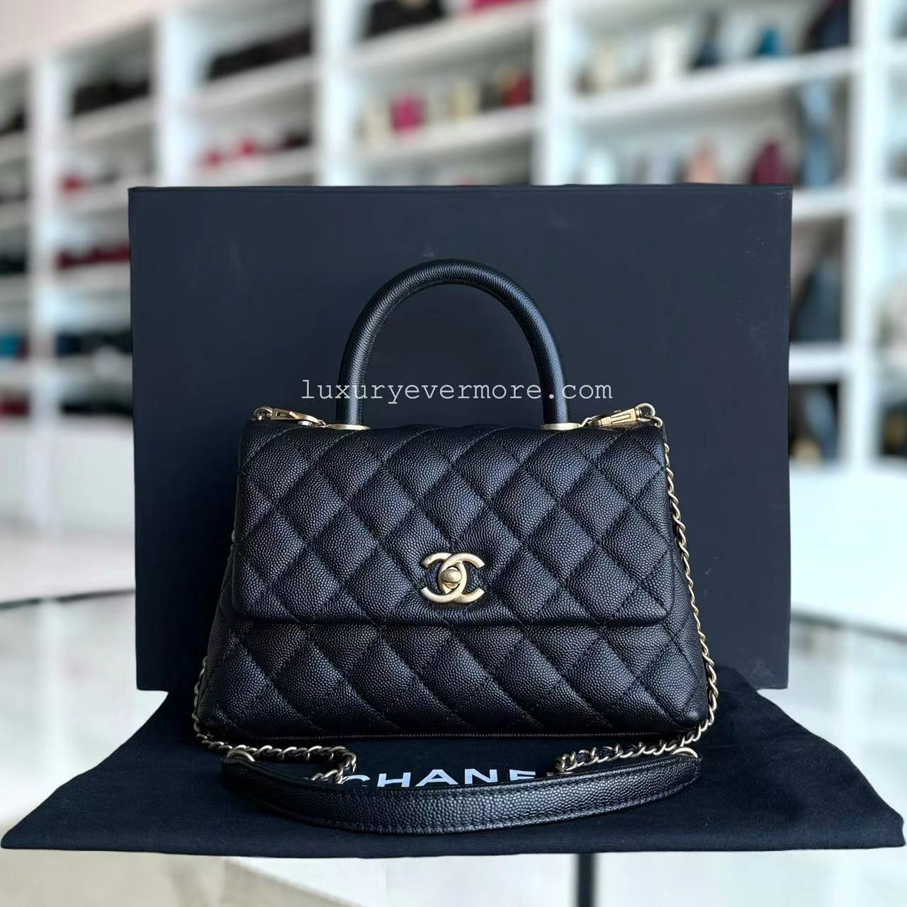 Chanel Small Handbag - EworeBags