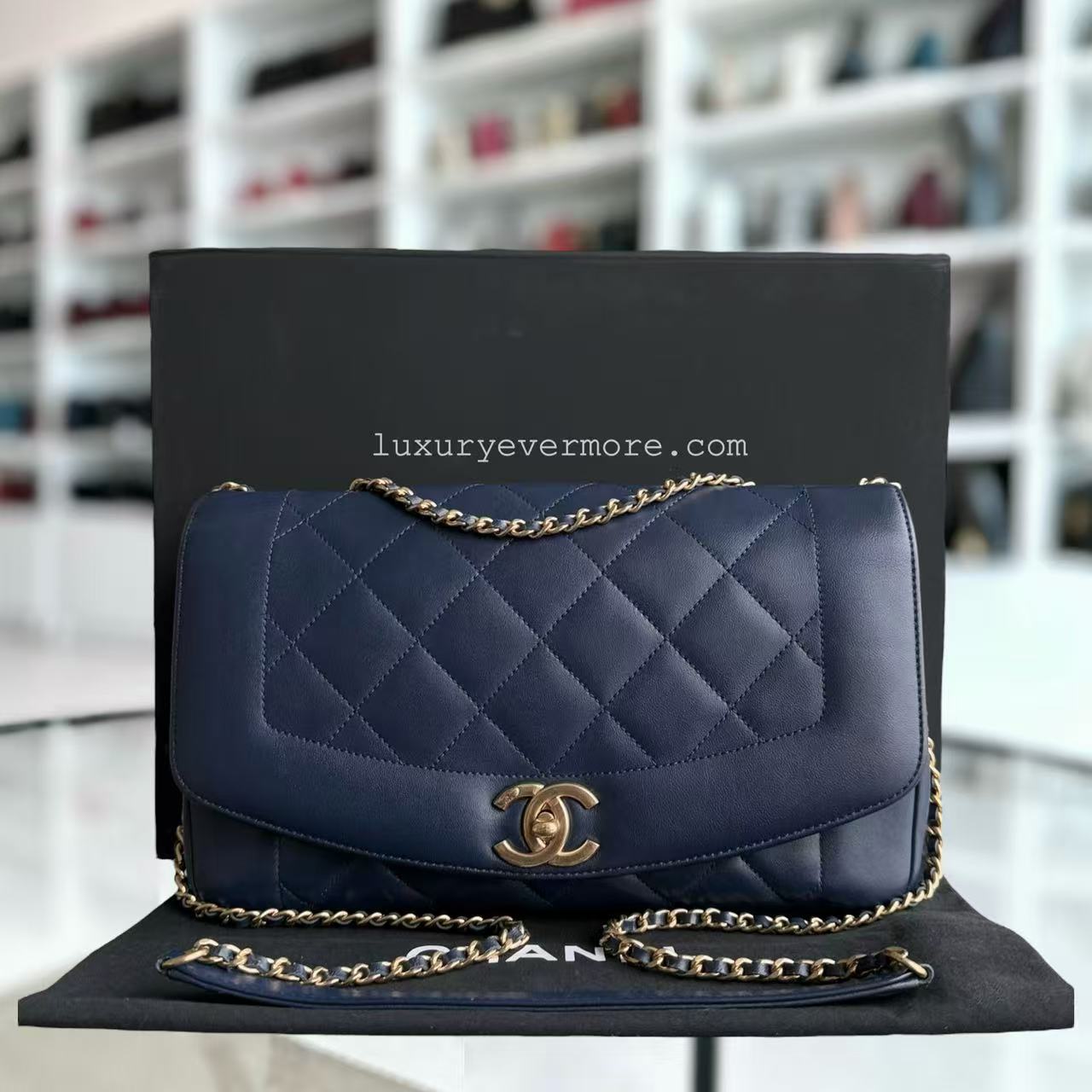 Chanel Handbag - EworeBags