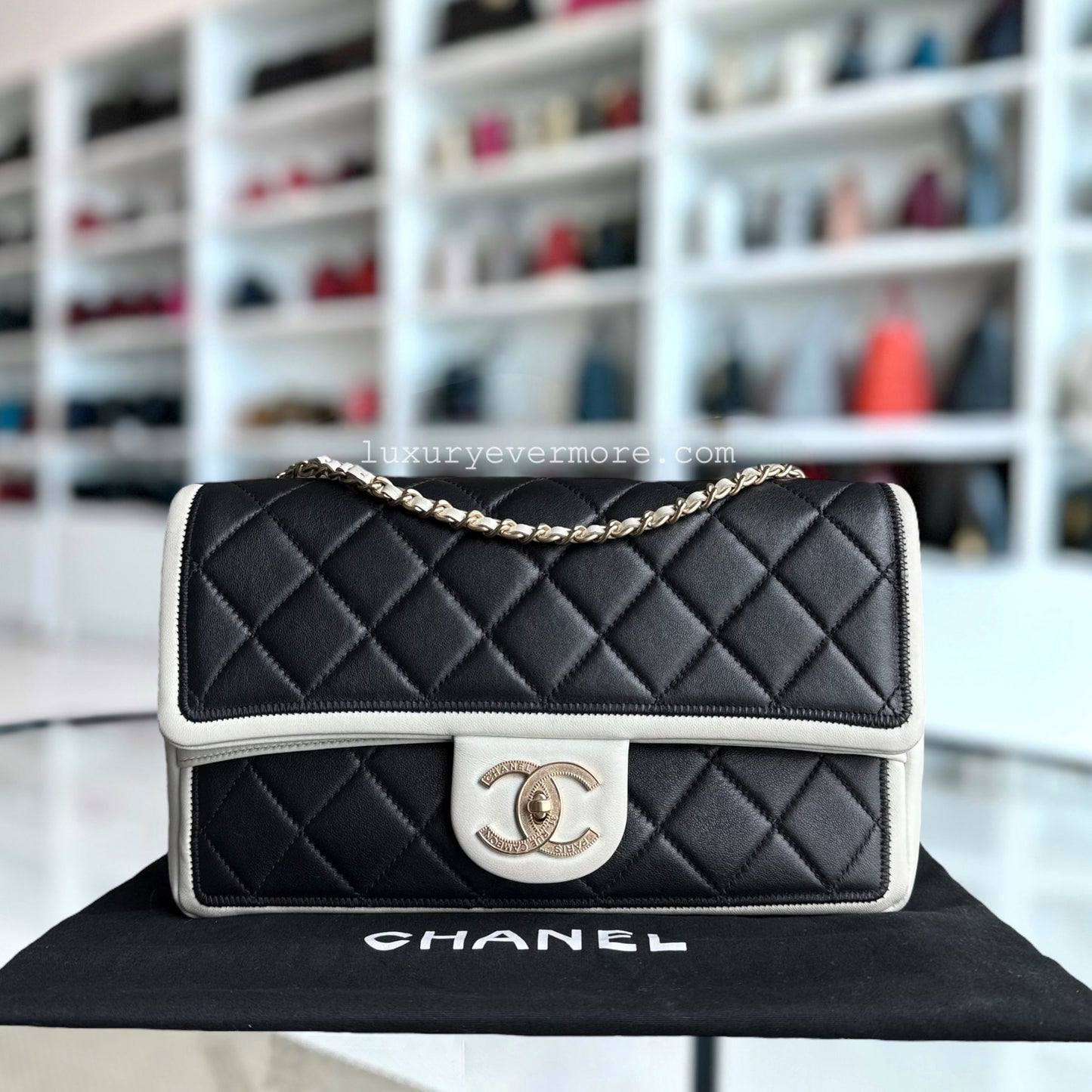 Chanel Medium Shoulder Bag - EworeBags