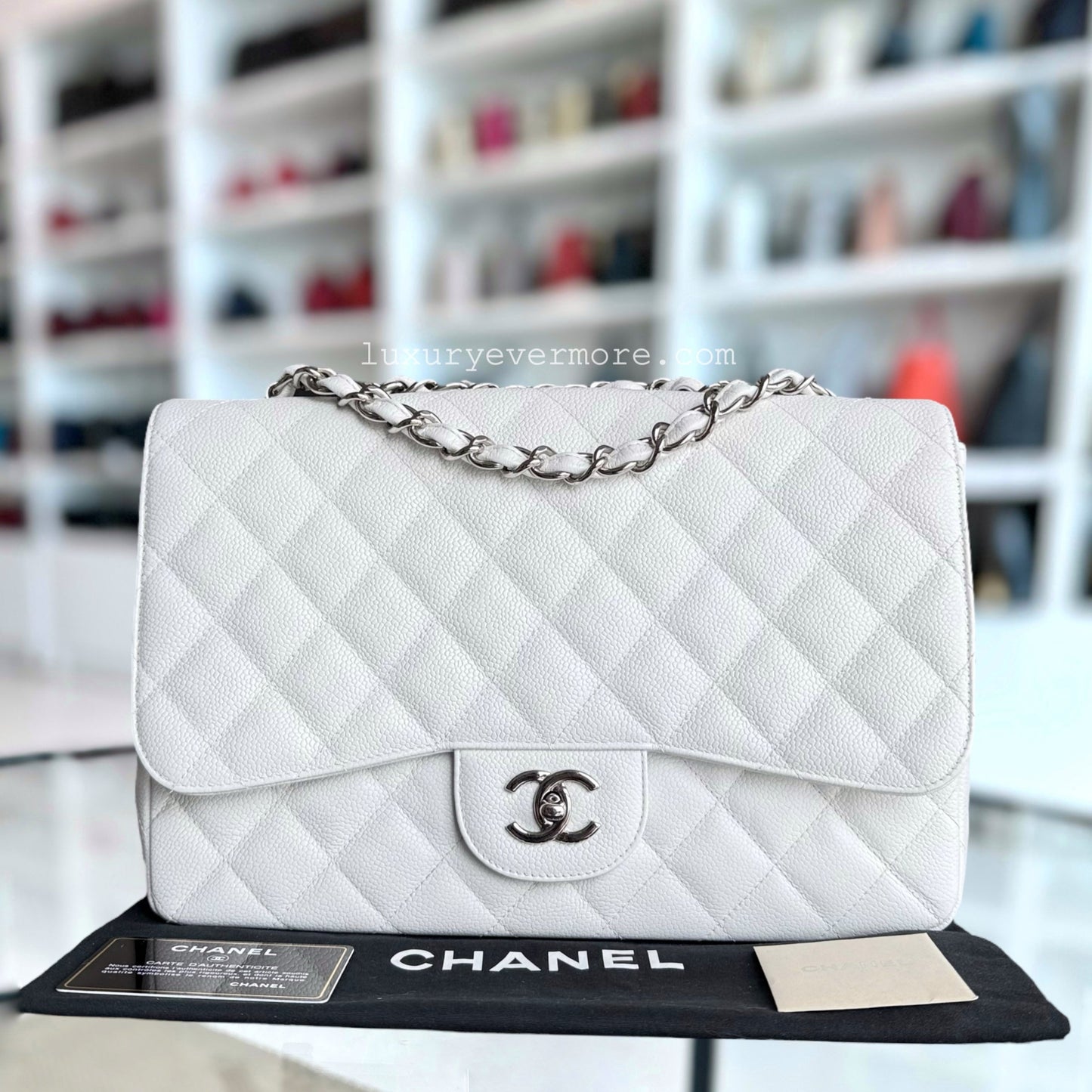 Chanel Classic Flap Shoulder Bag - EworeBags
