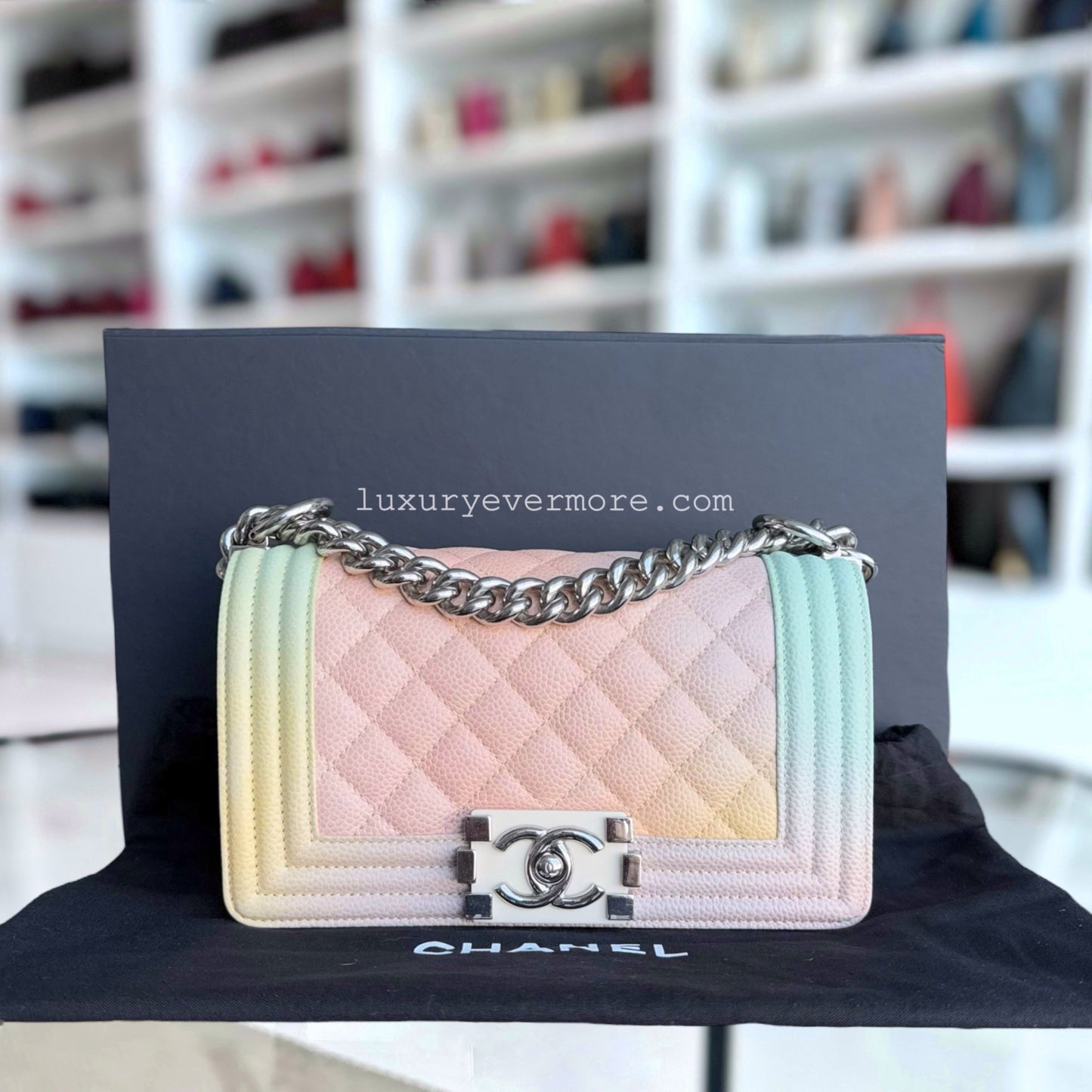 Chanel Small Handbag - EworeBags