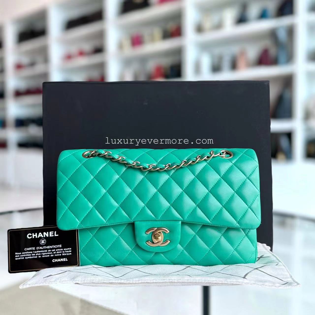 Chanel Classic Flap Medium Shoulder Bag - EworeBags