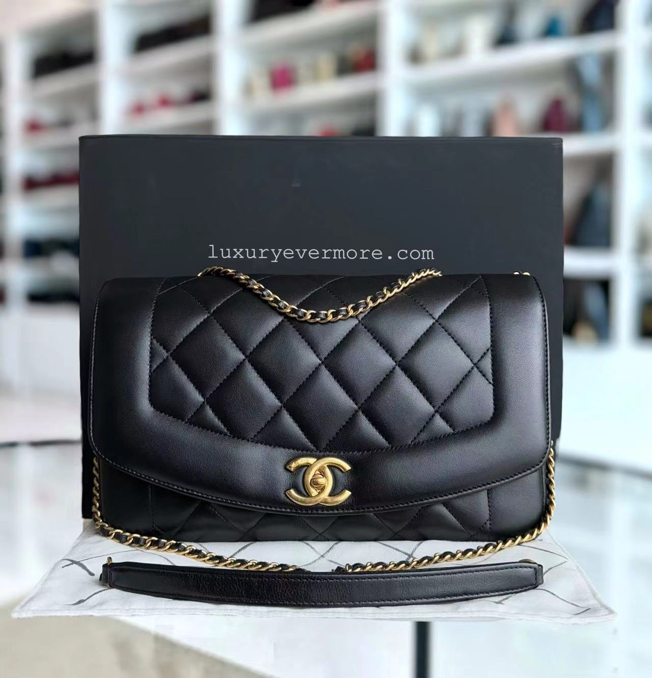 Chanel Handbag - EworeBags