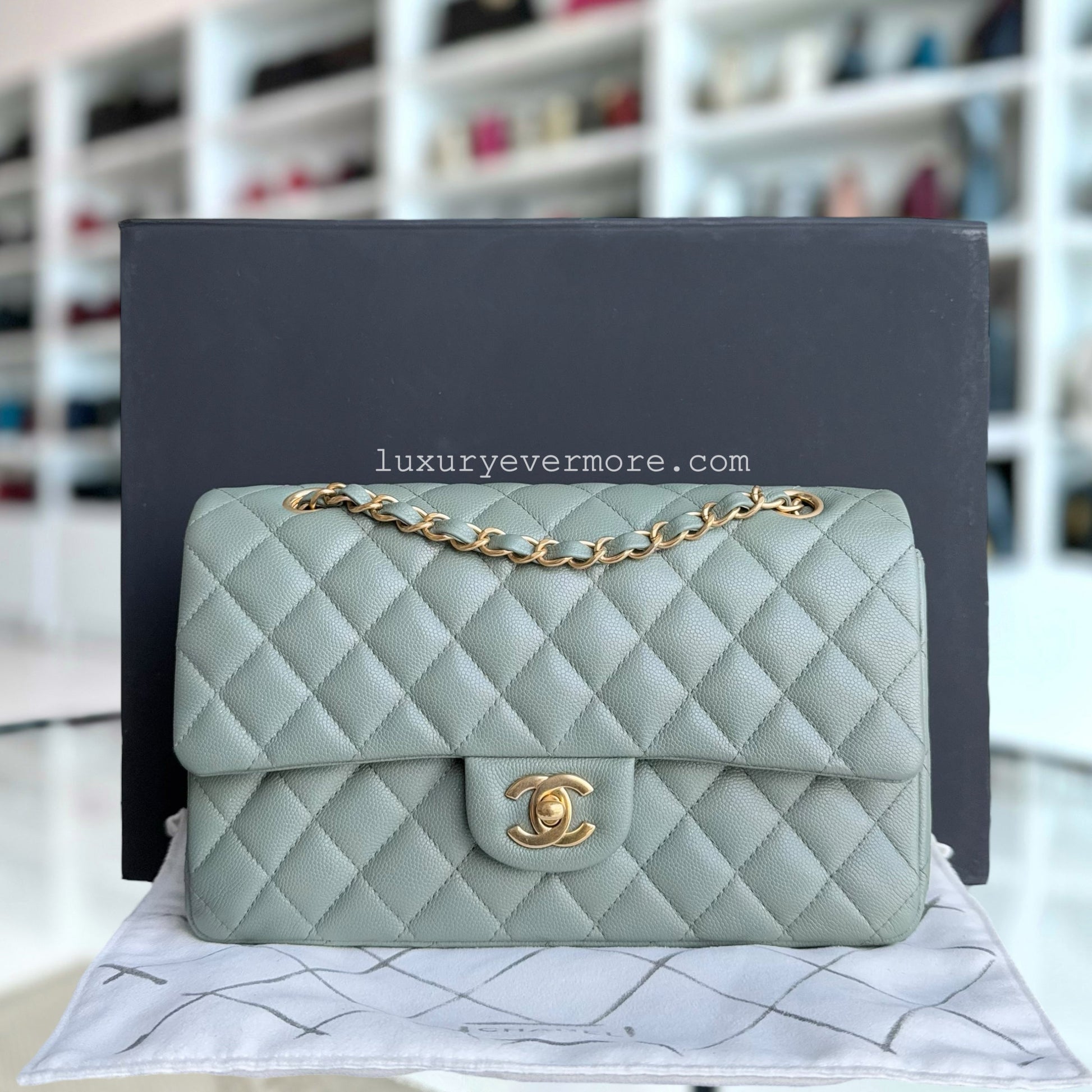 Chanel Classic Flap Medium Shoulder Bag - EworeBags