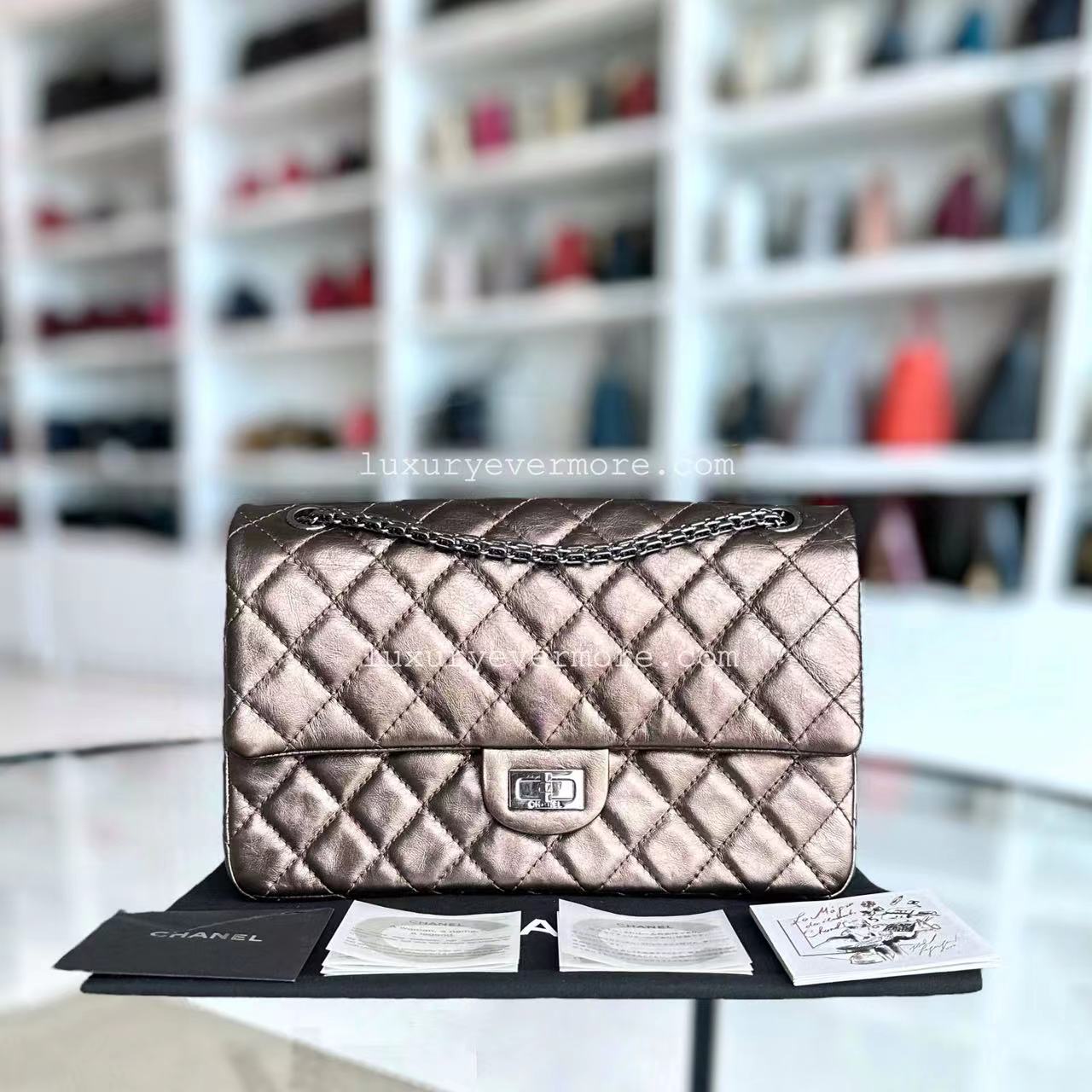 Chanel Handbag - EworeBags