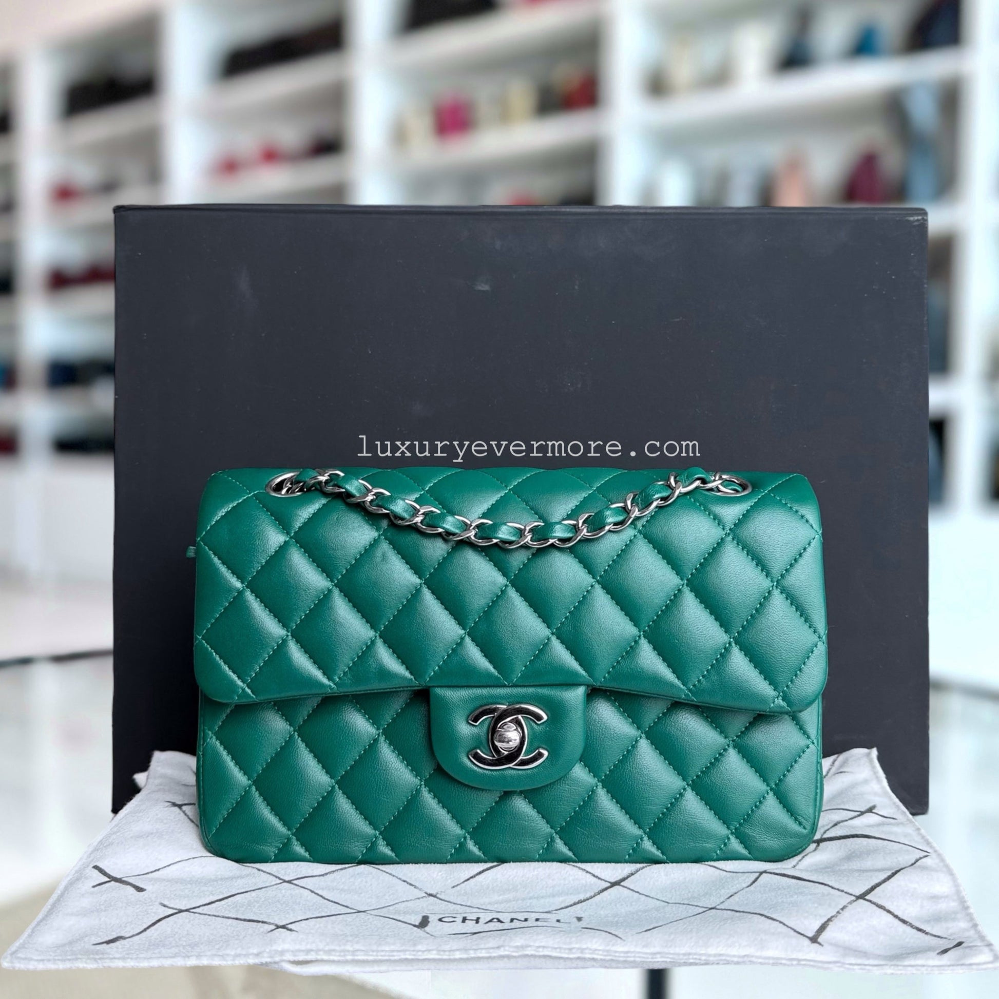 Chanel Classic Flap Small Shoulder Bag - EworeBags