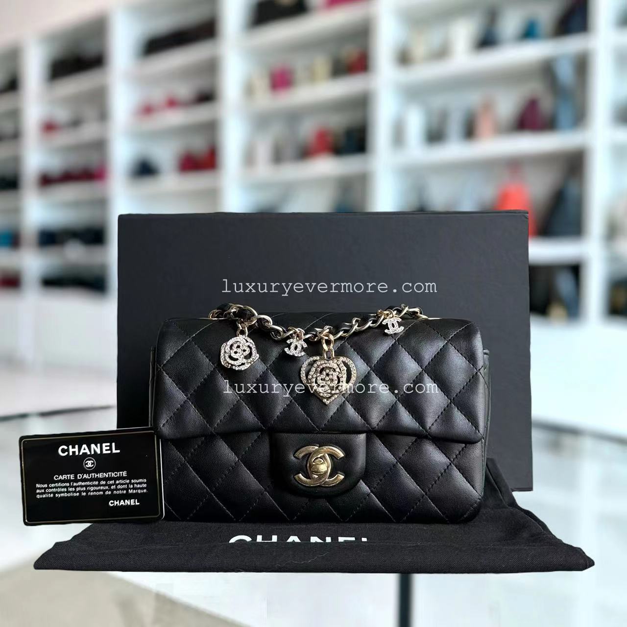 Chanel Classic Flap Mini Shoulder Bag - EworeBags
