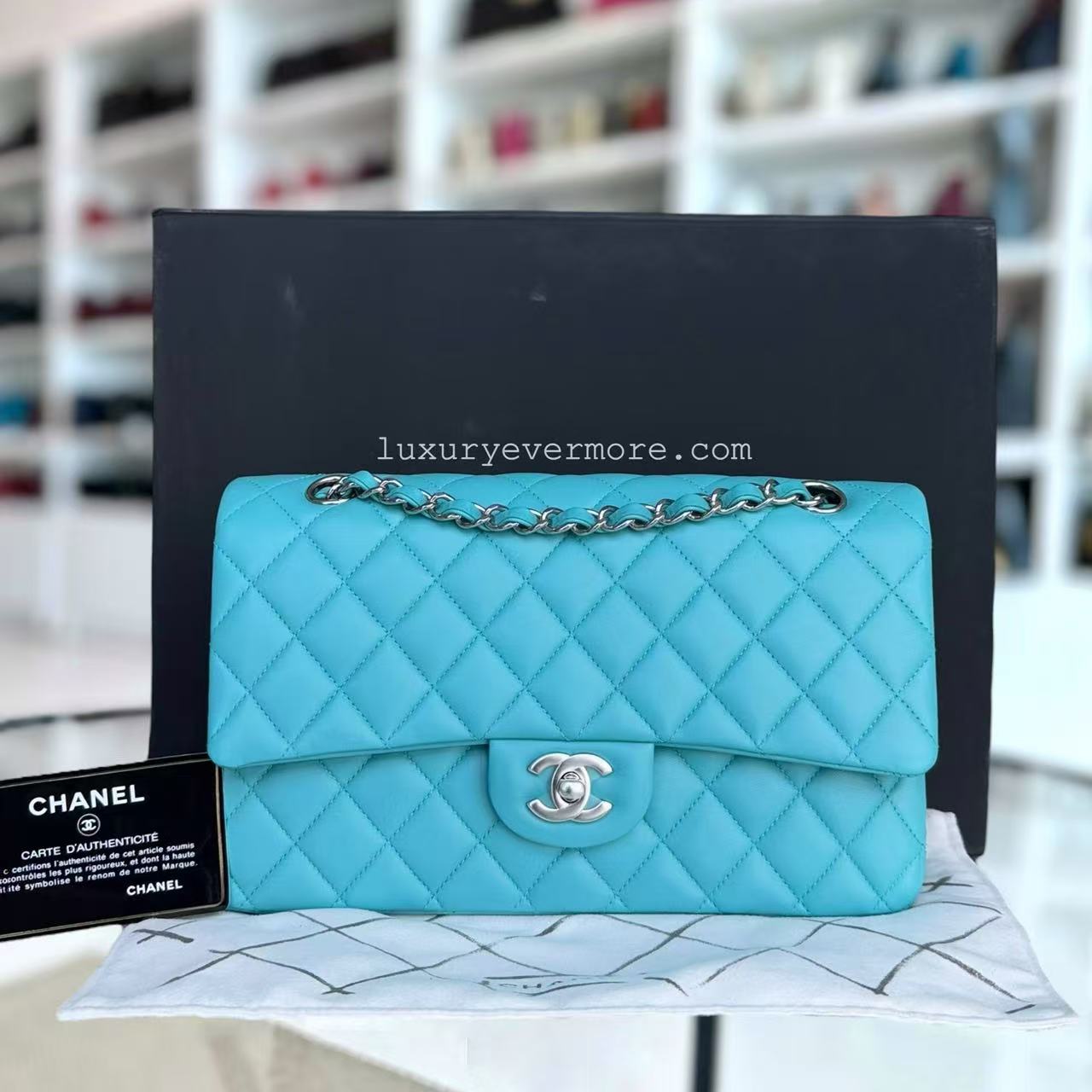 Chanel Classic Flap Medium Shoulder Bag - EworeBags