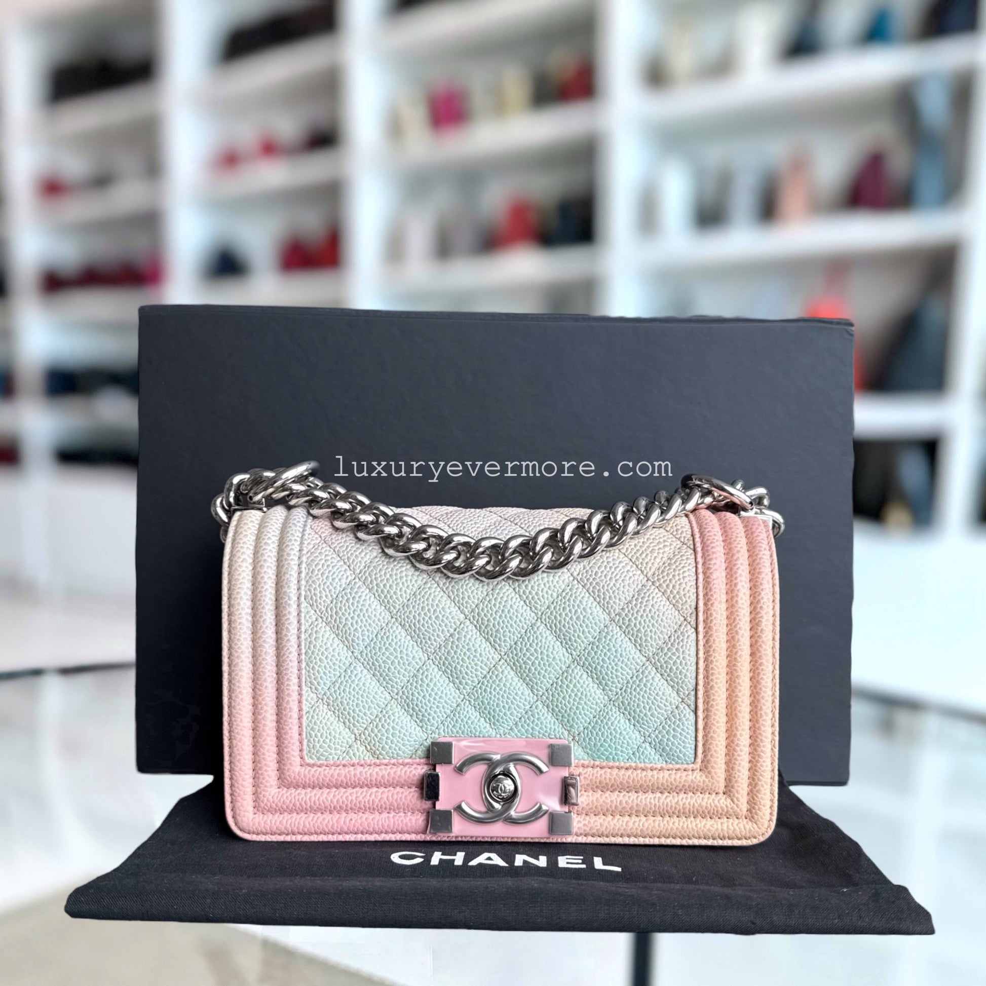 Chanel Small Handbag - EworeBags