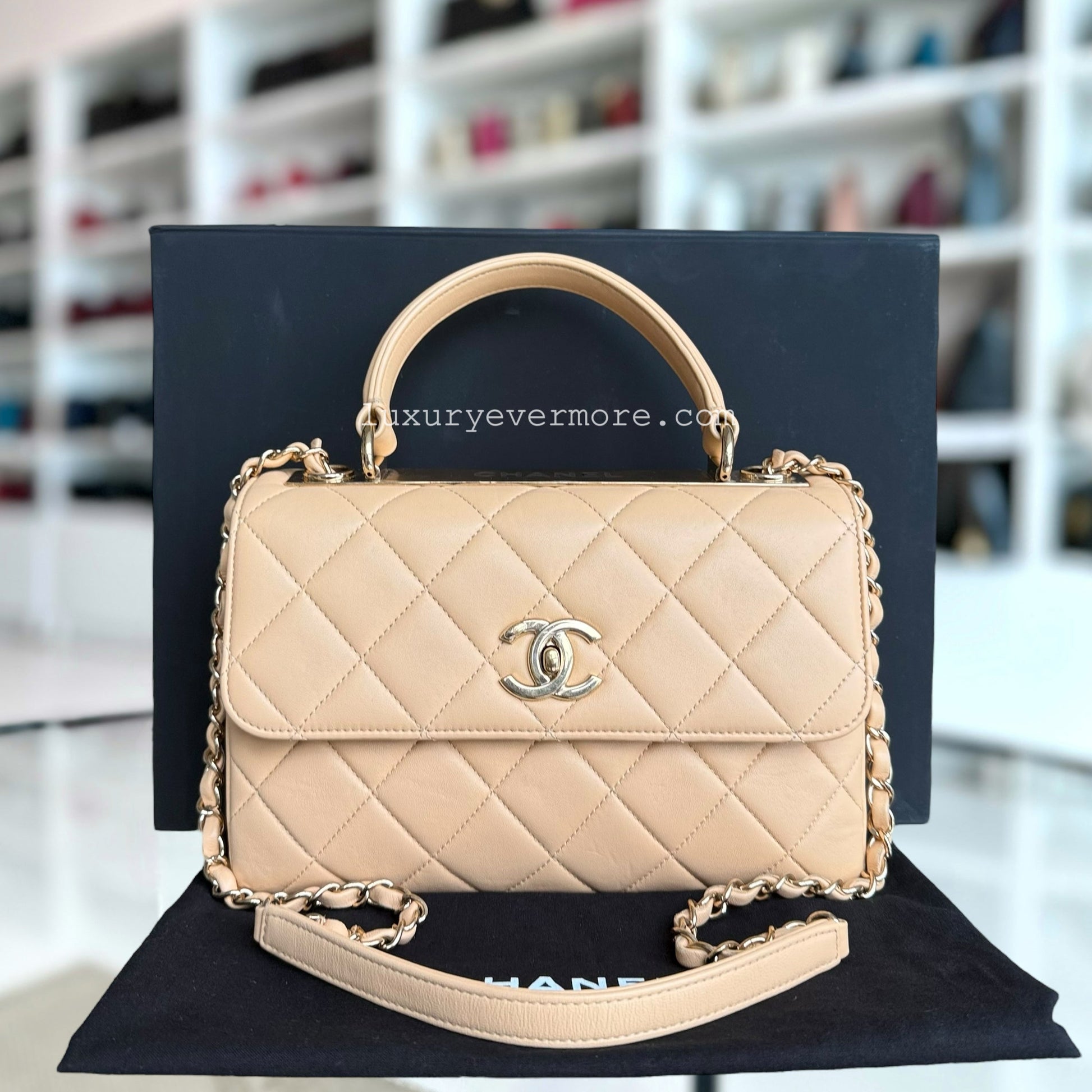 Chanel Small Handbag - EworeBags