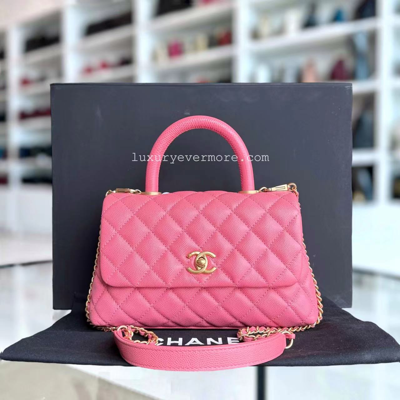 Chanel Small Handbag - EworeBags