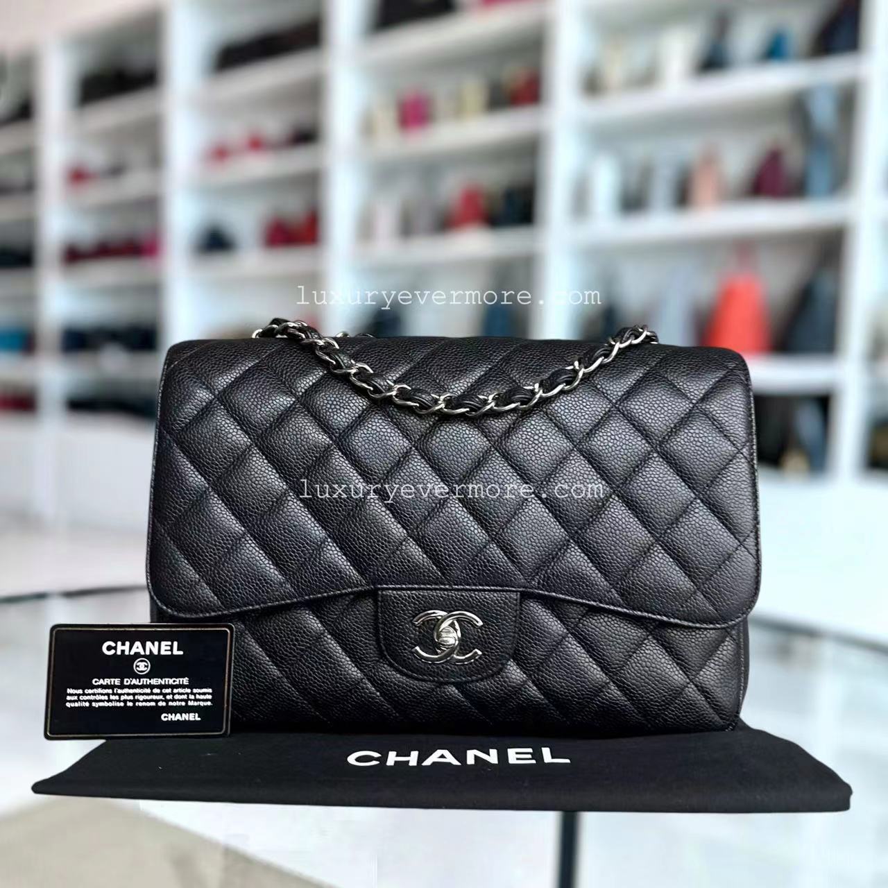 Chanel Classic Flap Shoulder Bag - EworeBags
