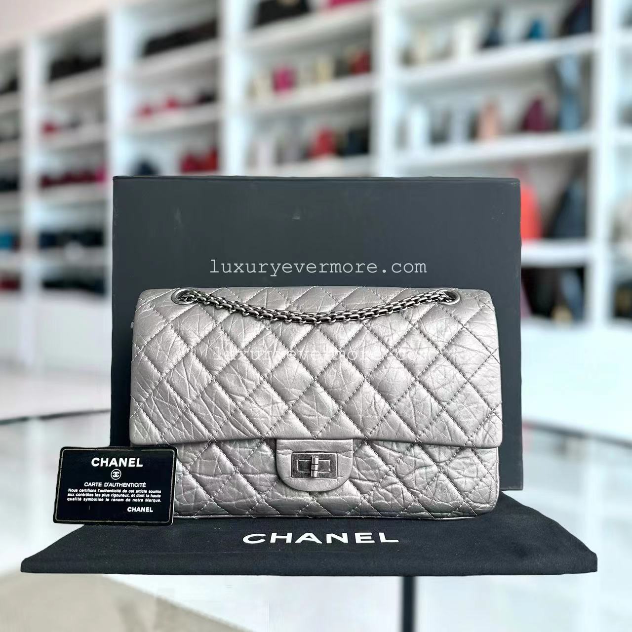 Chanel Handbag - EworeBags