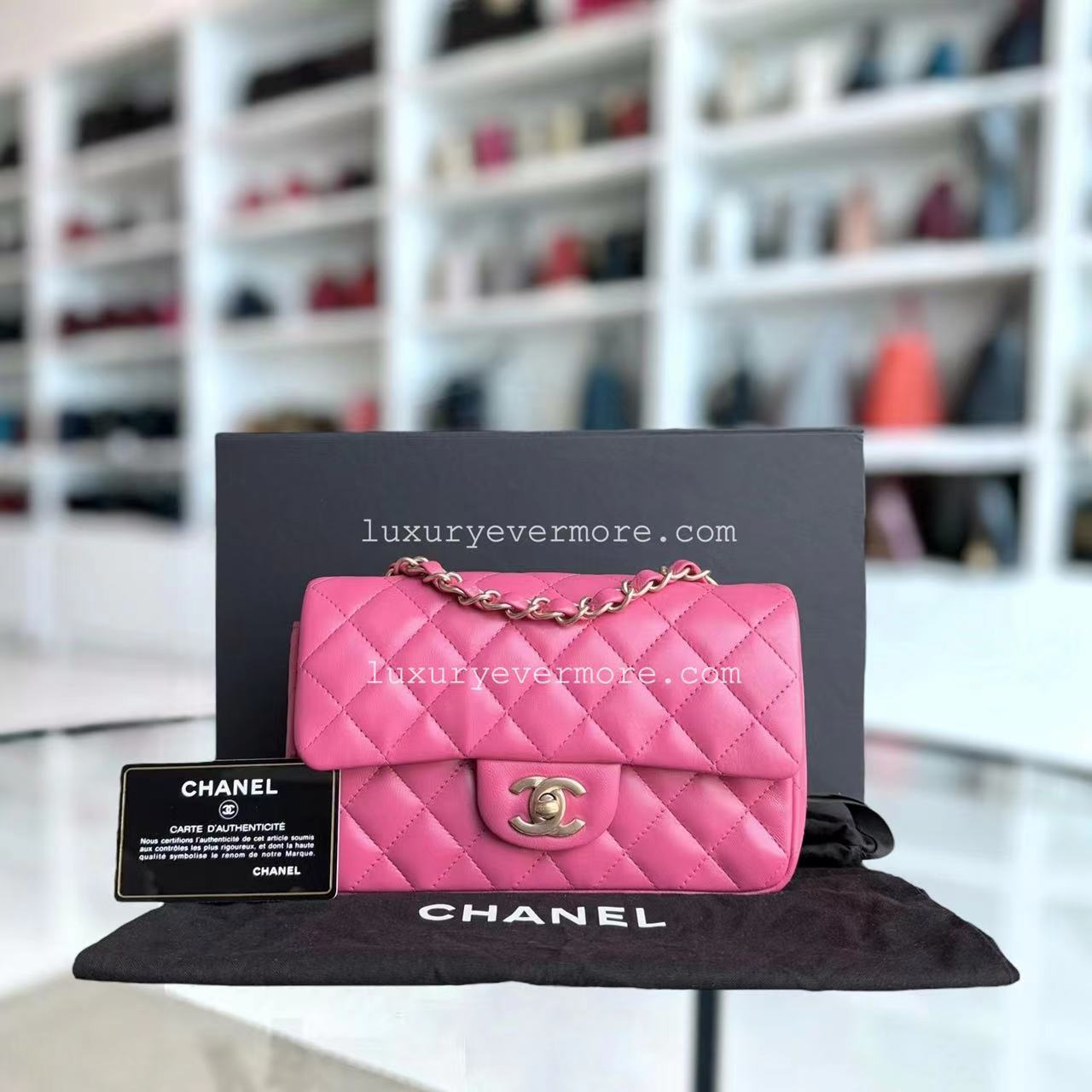 Chanel Classic Flap Mini Shoulder Bag - EworeBags