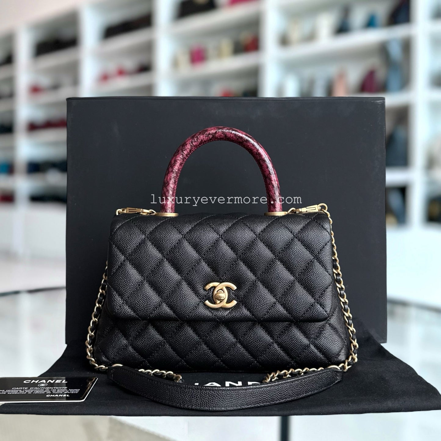 Chanel Small Handbag - EworeBags