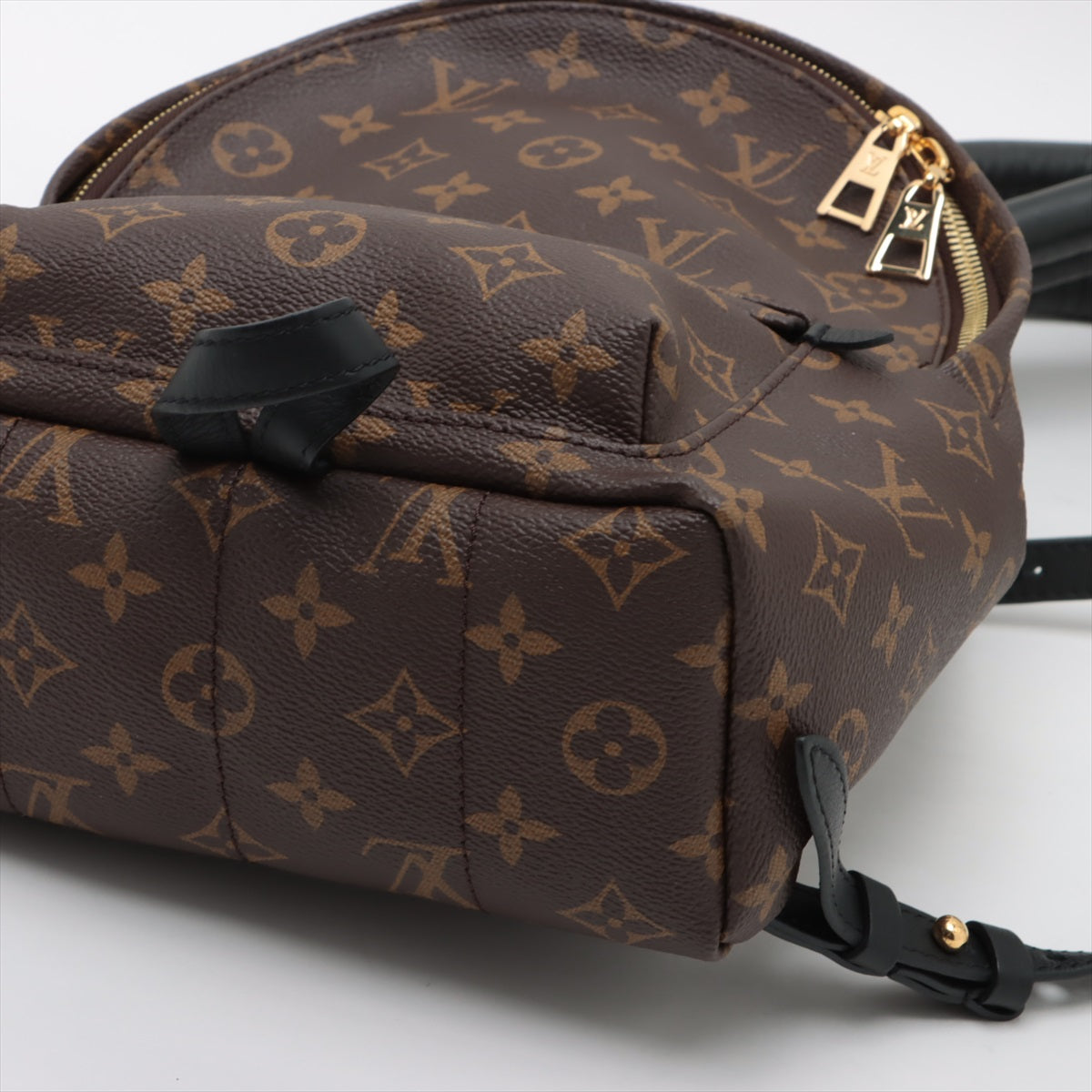Louis Vuitton Monogram Palm Springs Backpack PM M41560