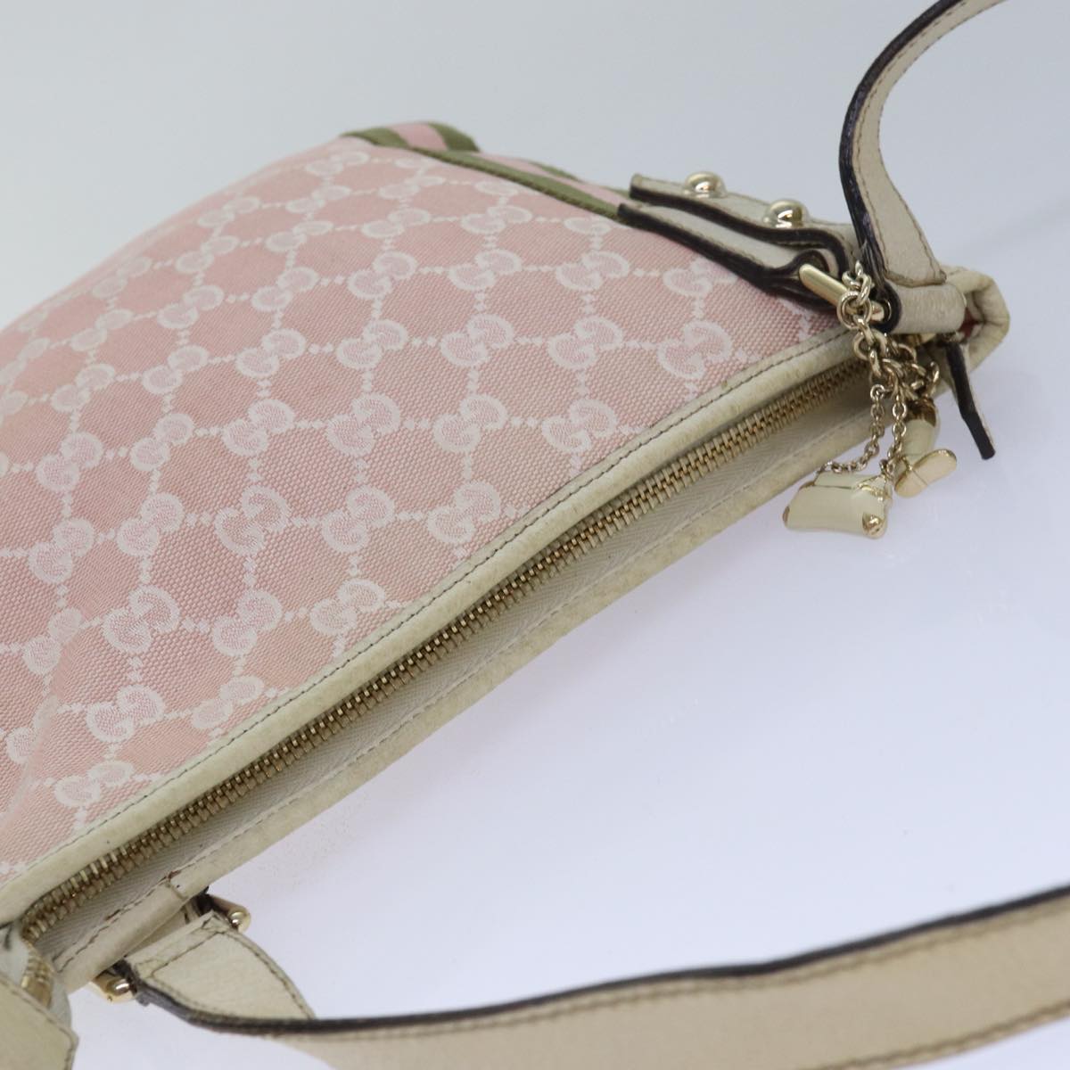 Gucci GG canvas