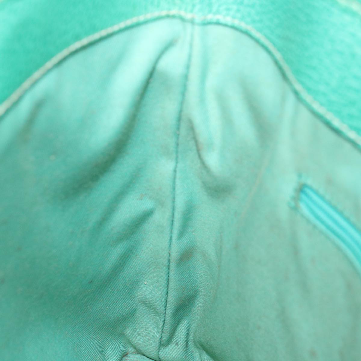 Gucci GG canvas