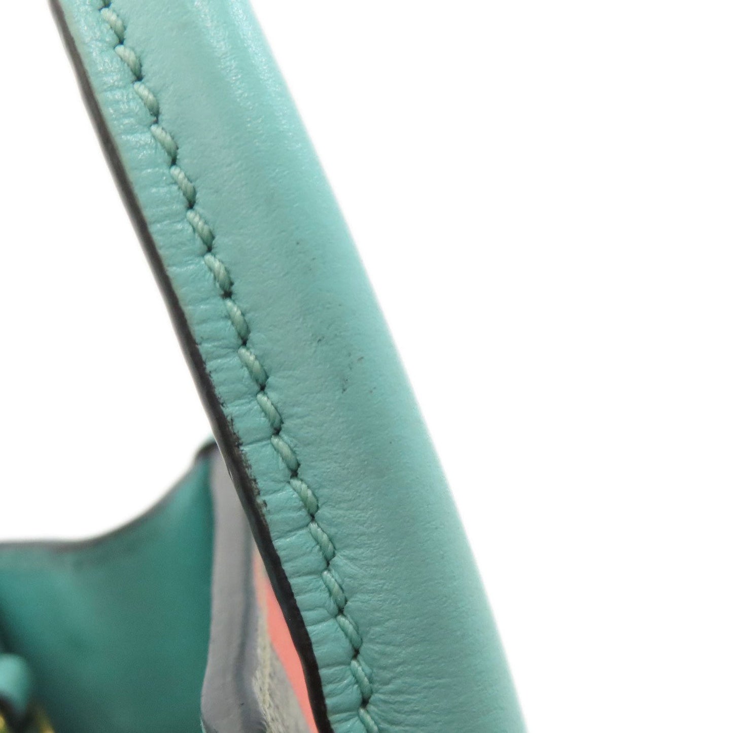 Gucci Brown Light Blue Pvc Handbag ( )