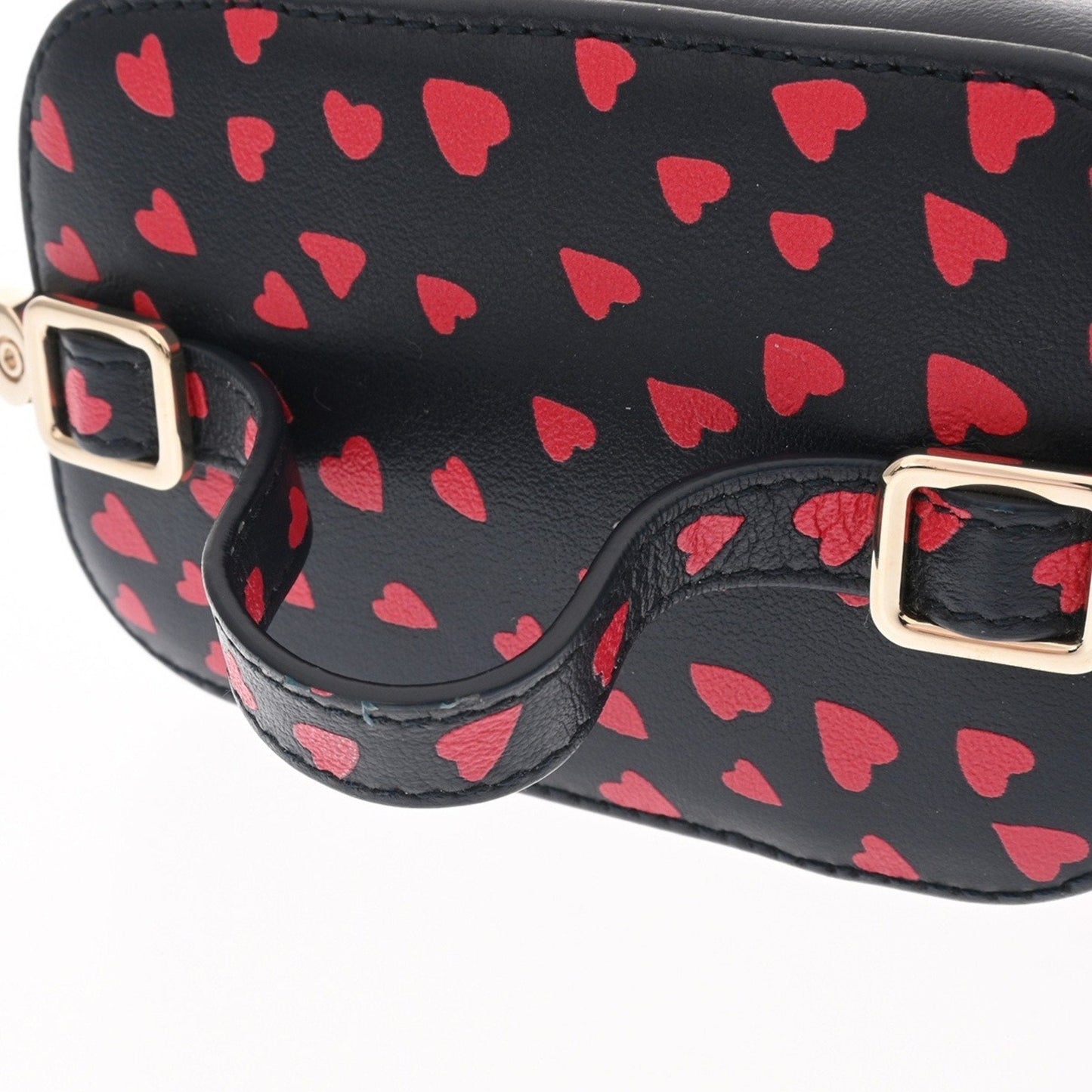 Christian Dior Black Red Color Leather Vanity Bag ()