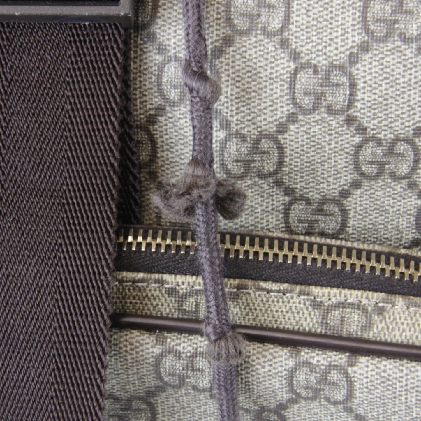 Gucci Gg Plus Beige Gg Plus Backpack ( )