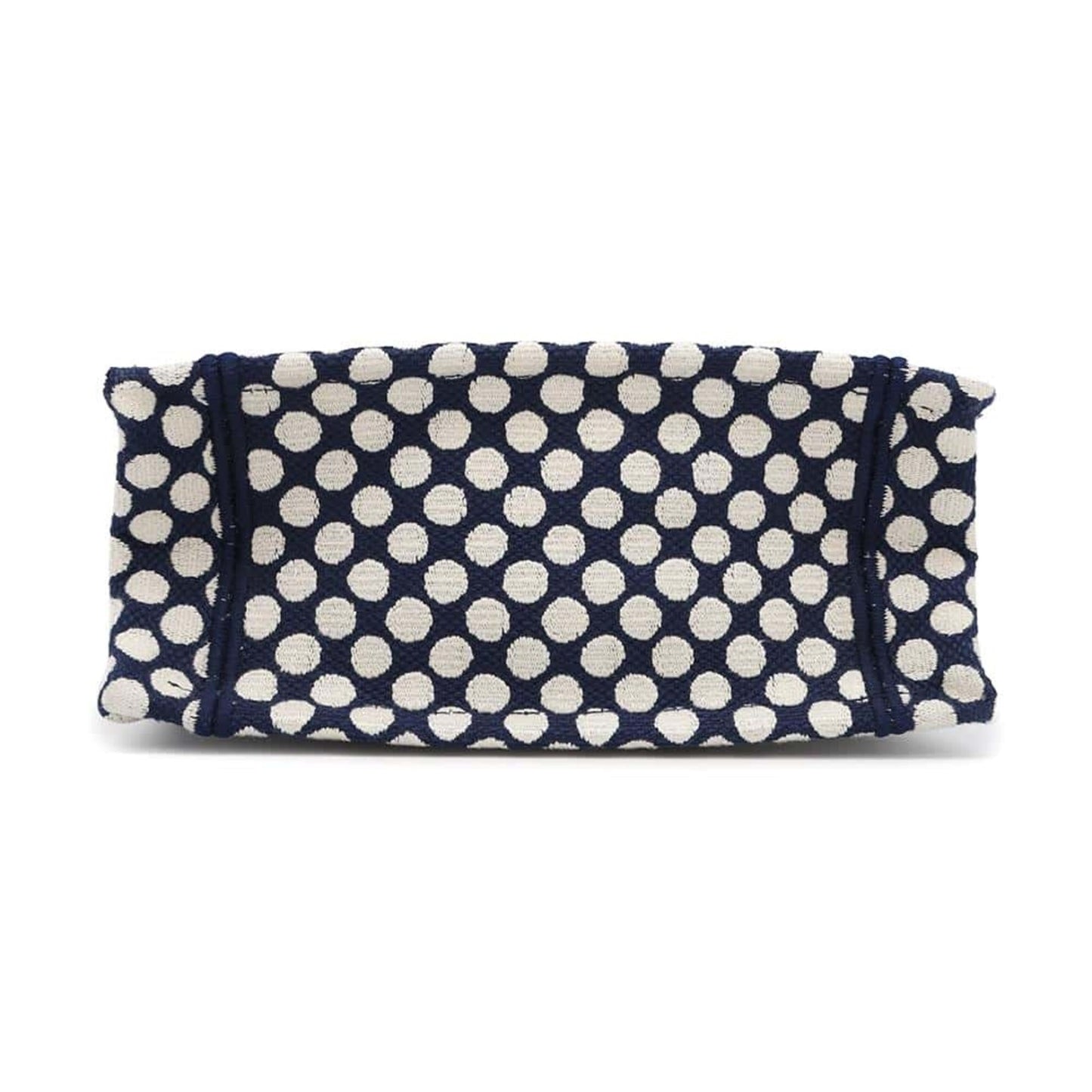 Christian Dior Navy White Canvas Handbag ()