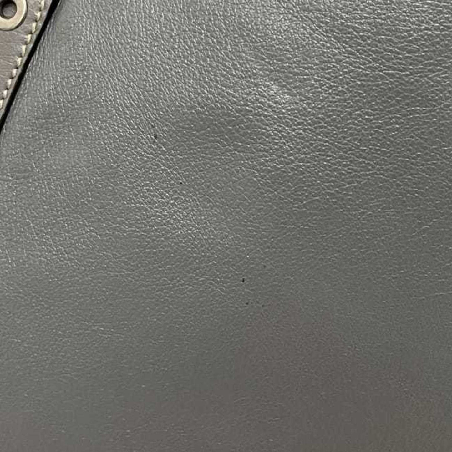Gucci Hysteria Gray Leather Tote Bag ( )