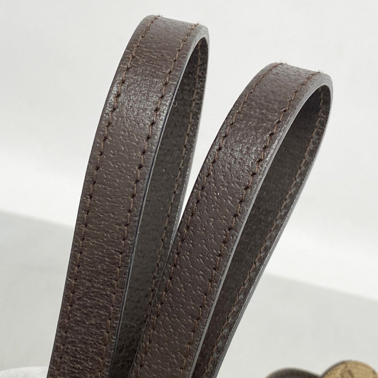 Gucci Brown Canvas Tote Bag ( )