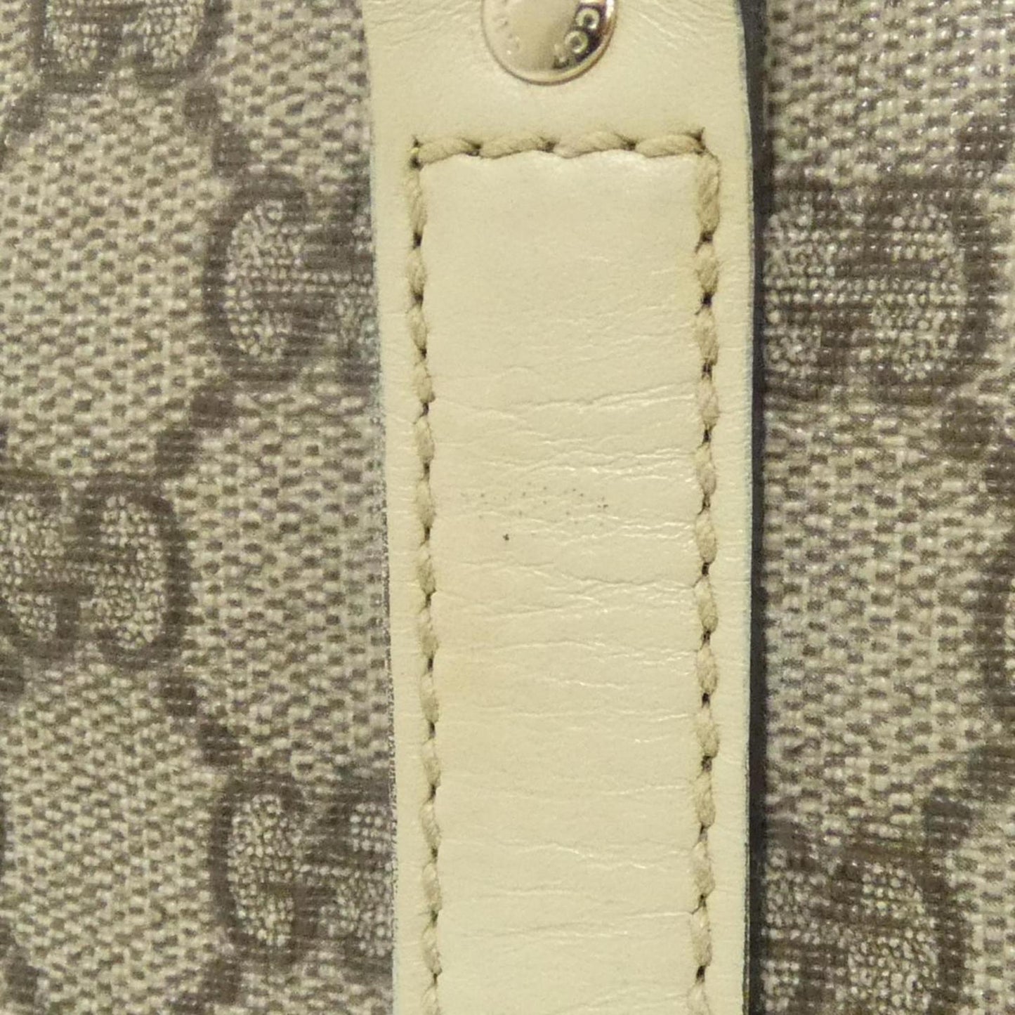 Gucci Beige Ivory Gg Plus Handbag ( )