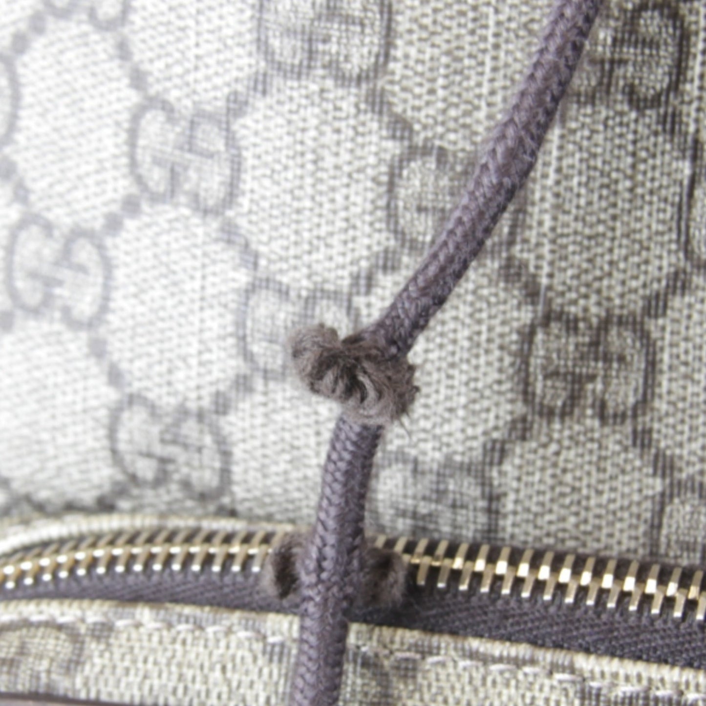 Gucci Gg Plus Beige Gg Plus Backpack ( )
