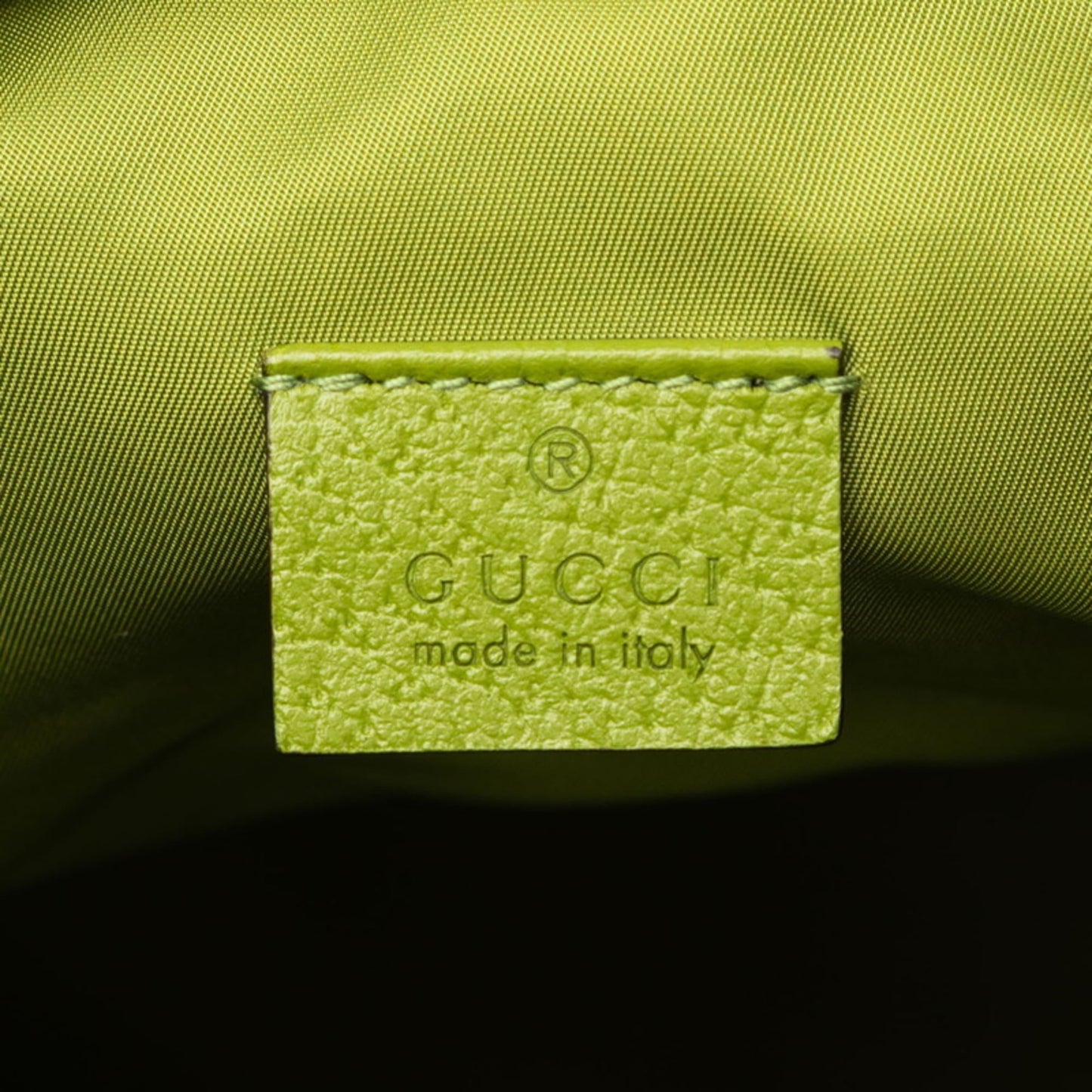 Gucci Green Multi-Color Nylon Leather Backpack ( )